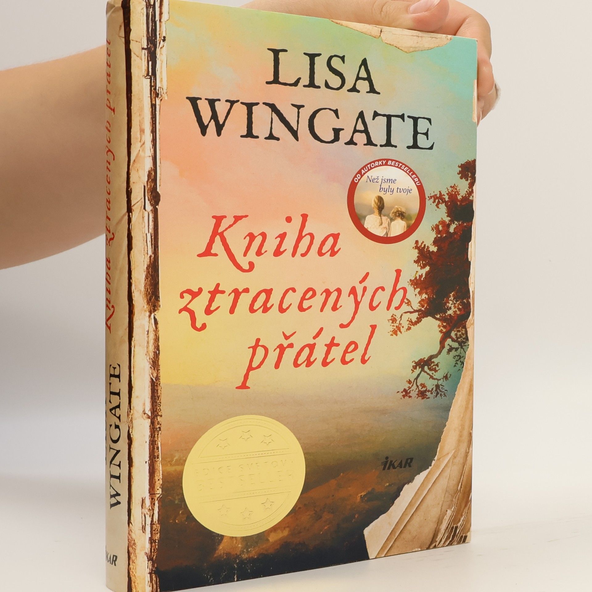 Lisa Wingate Kniha ztracených přátel