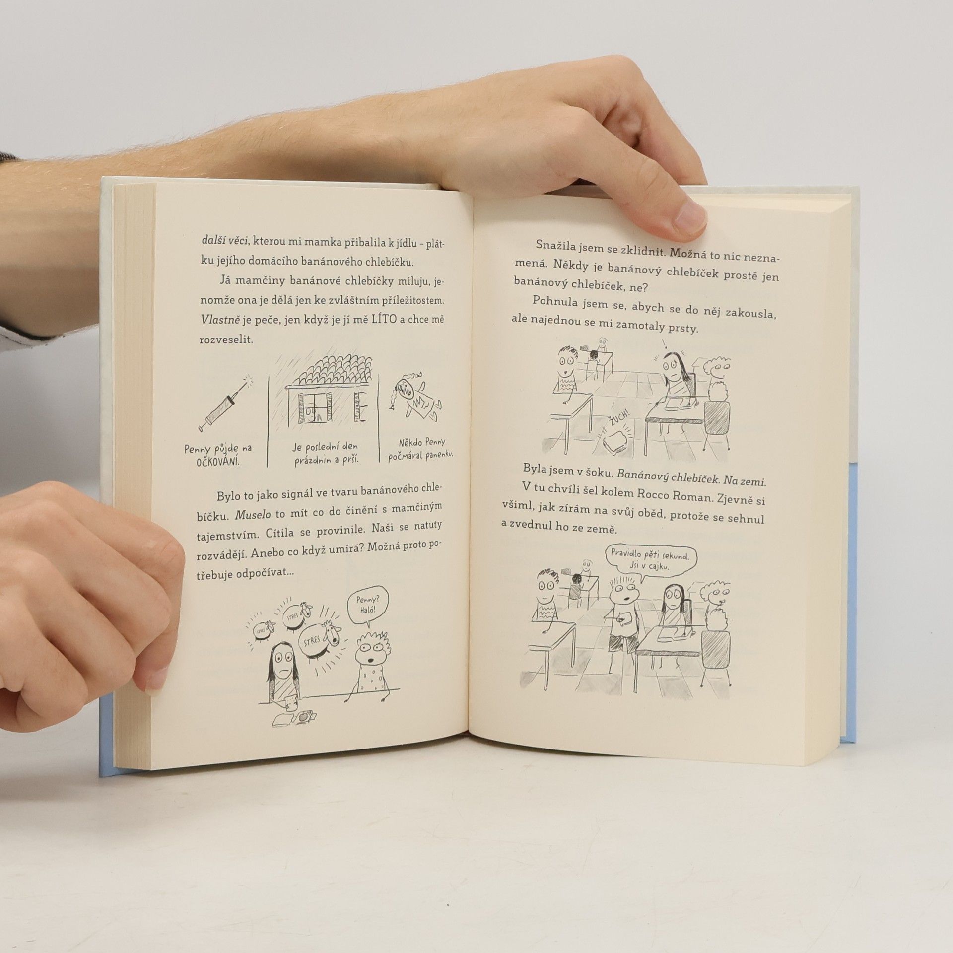 Sara Shepard Deník jedné páťačky