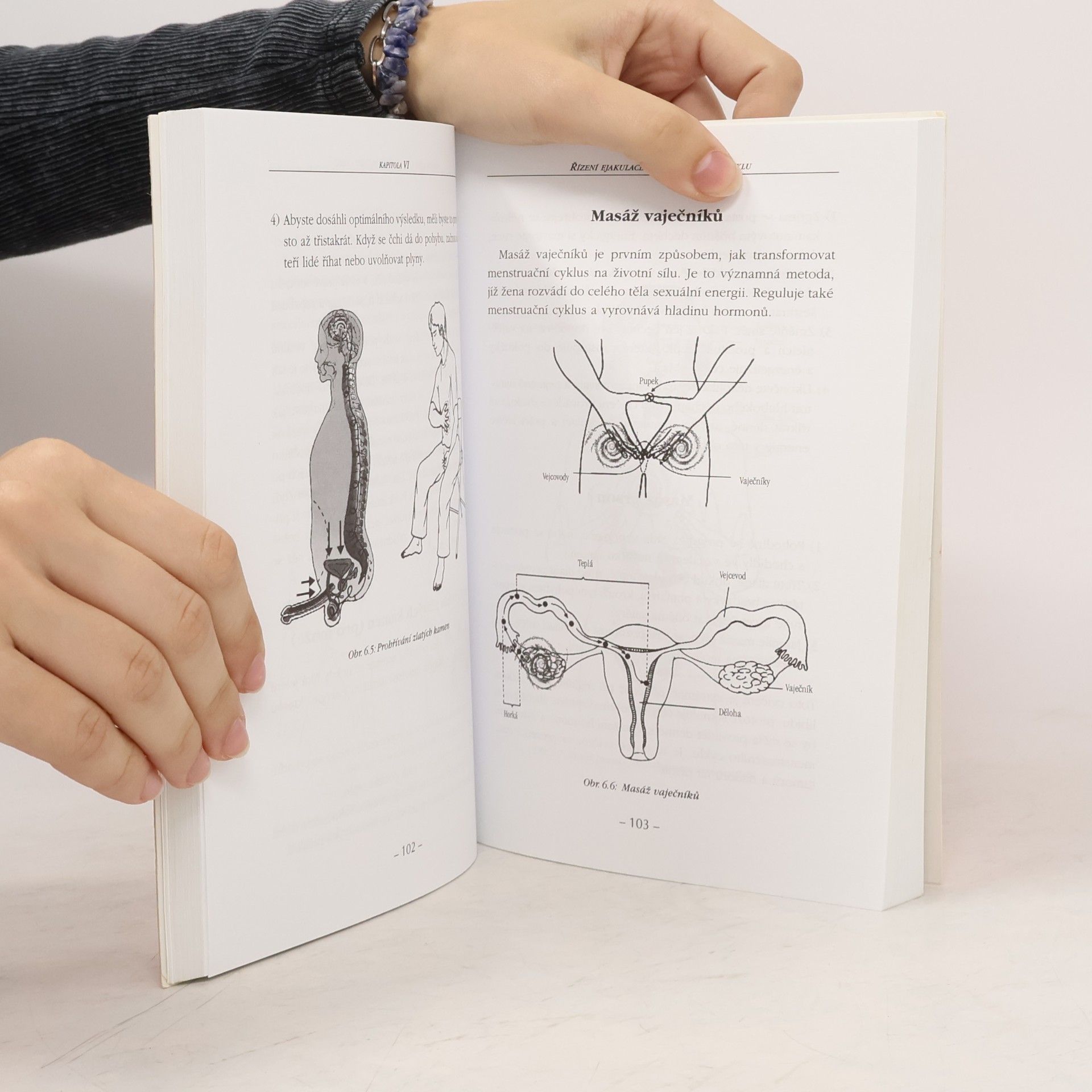 Mantak Chia Sexuální reflexologie v praxi: Sexuální reflexní zóny: Taoistická sexuální cvičení