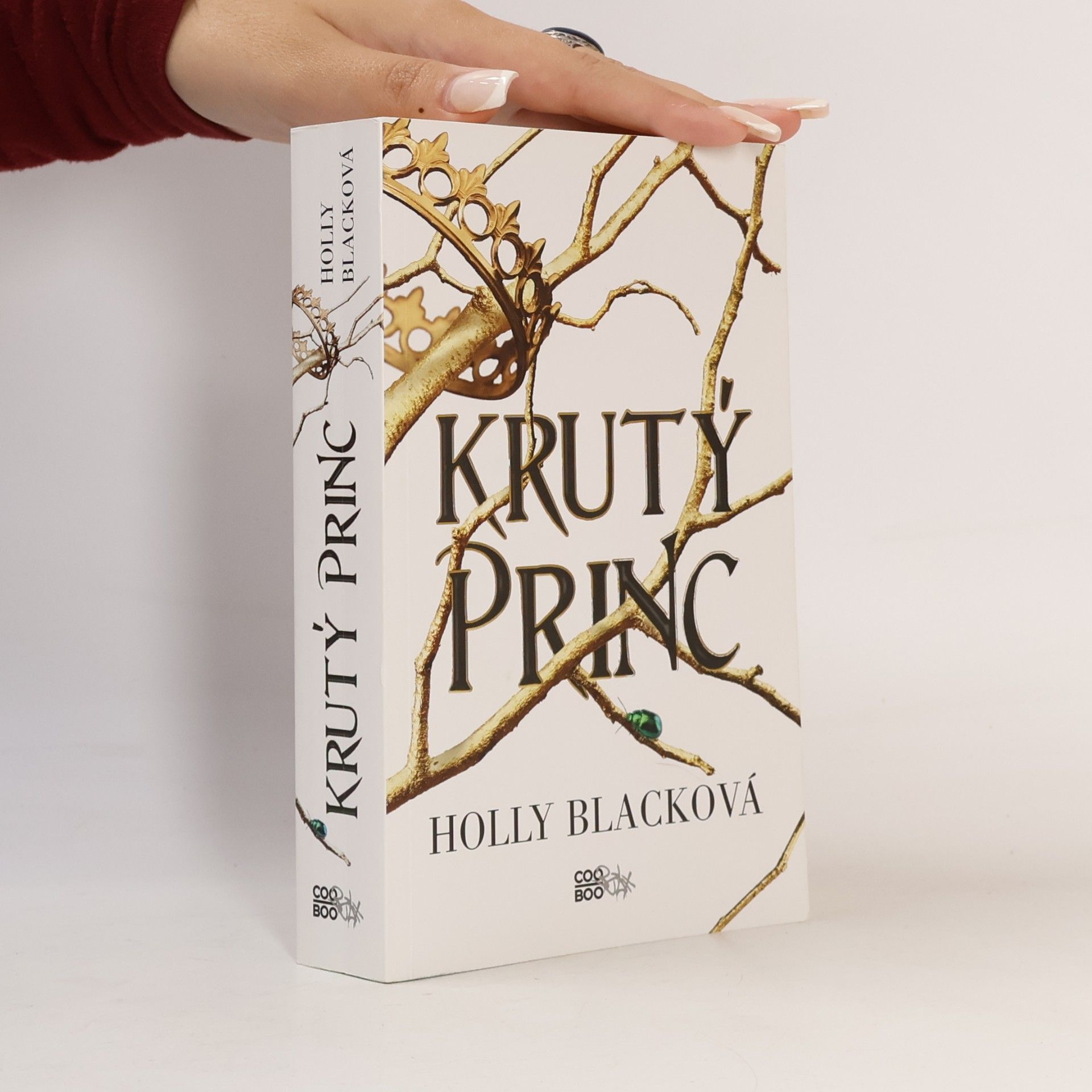 Holly Black Krutý princ