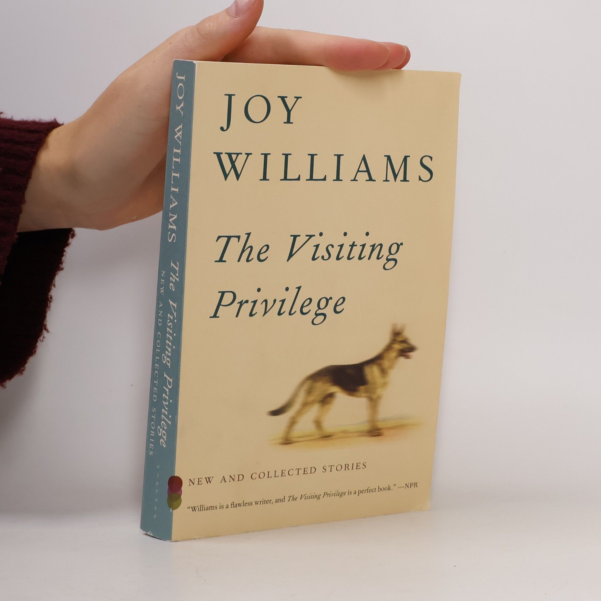 Joy Williams The Visiting Privilege