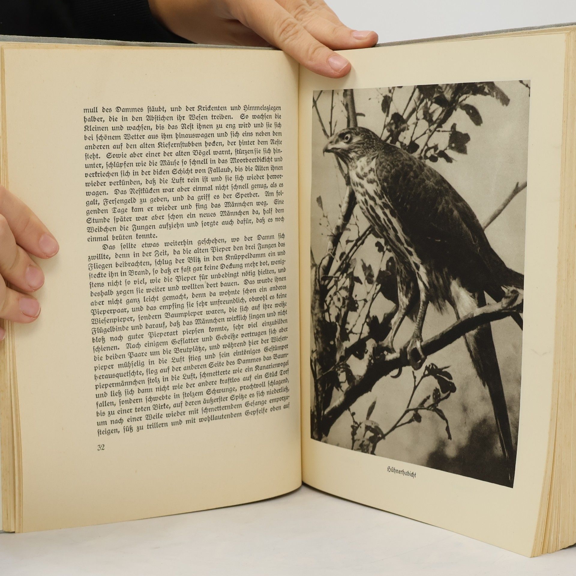 Hermann Löns Im Wald und auf der Heide