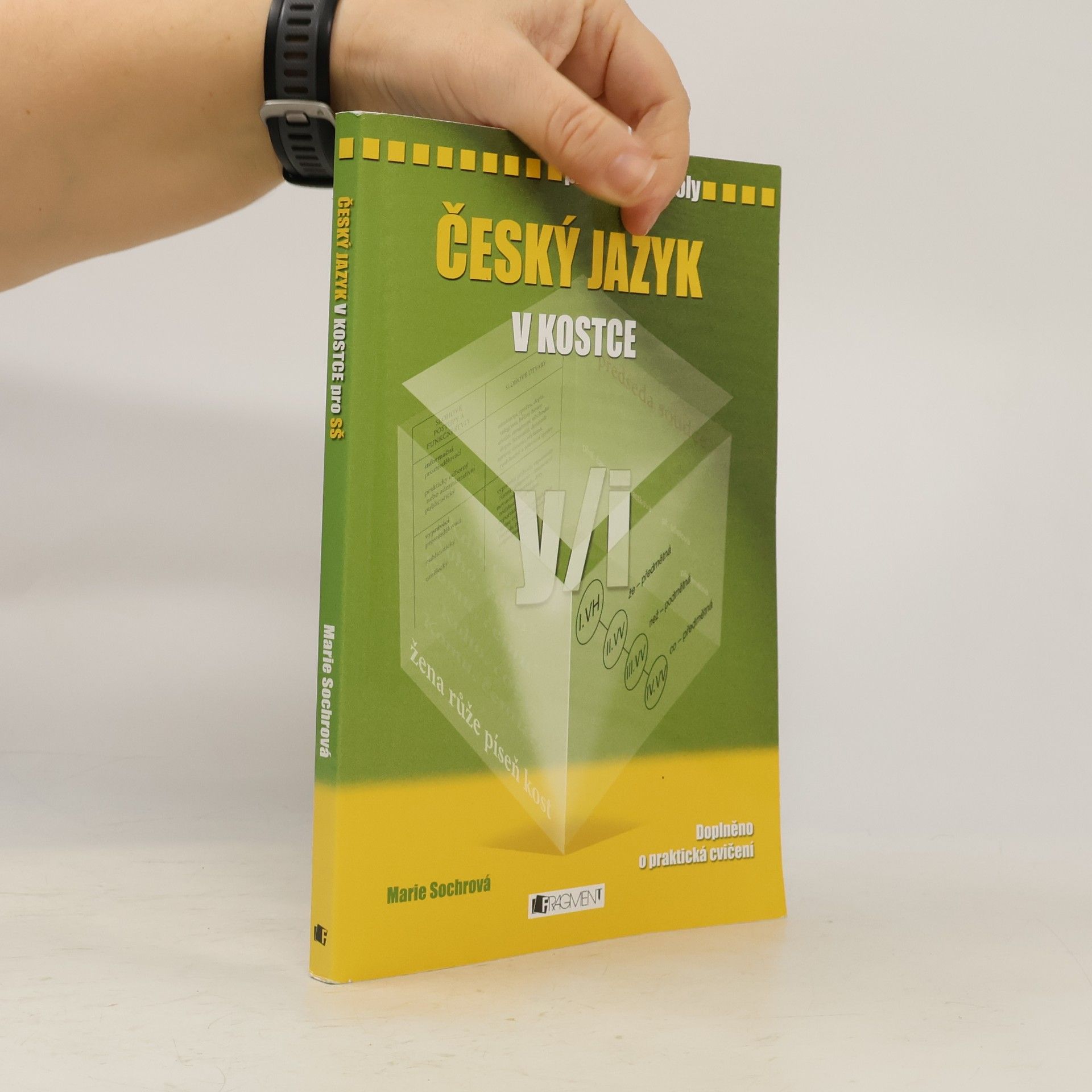 Marie Sochrová Český jazyk v kostce : pro střední školy