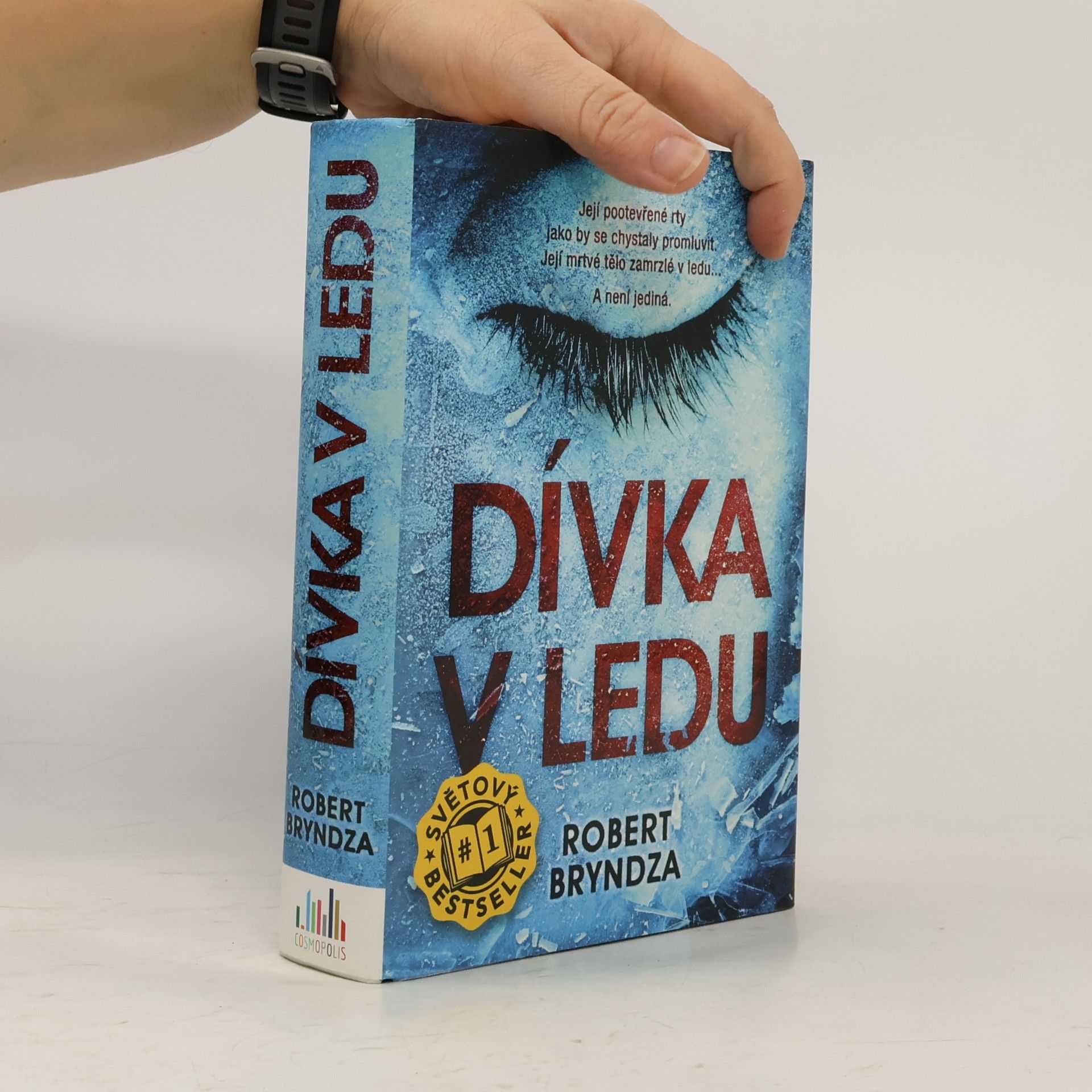 Robert Bryndza Dívka v ledu
