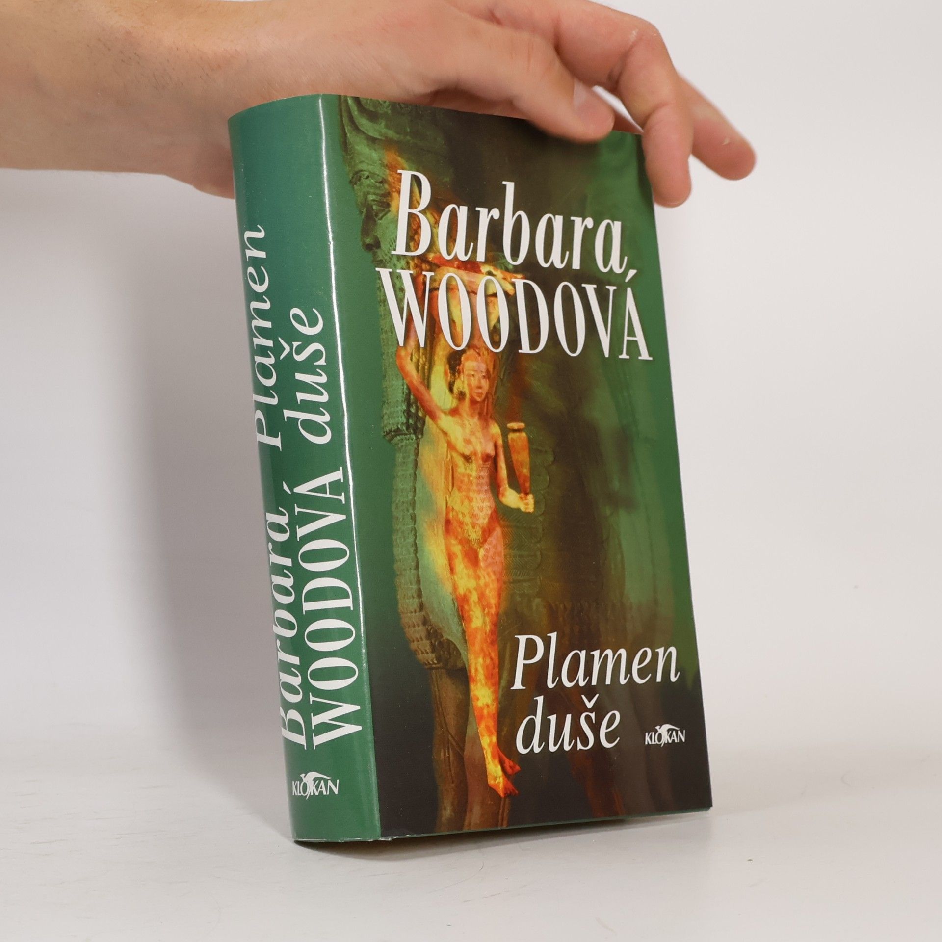 Barbara Wood Plamen duše
