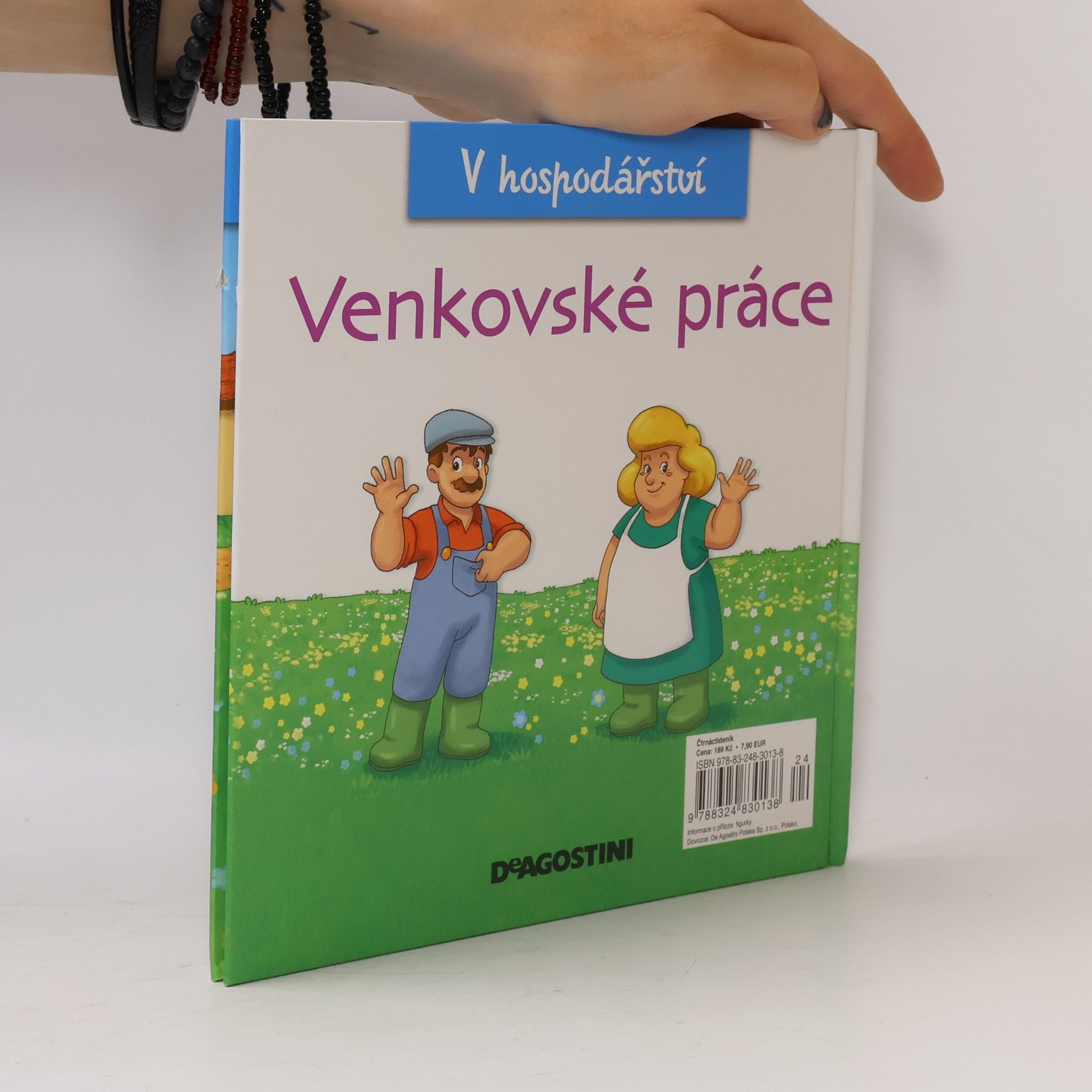 Autorenkollektiv V hospodářství 35. Venkovské práce