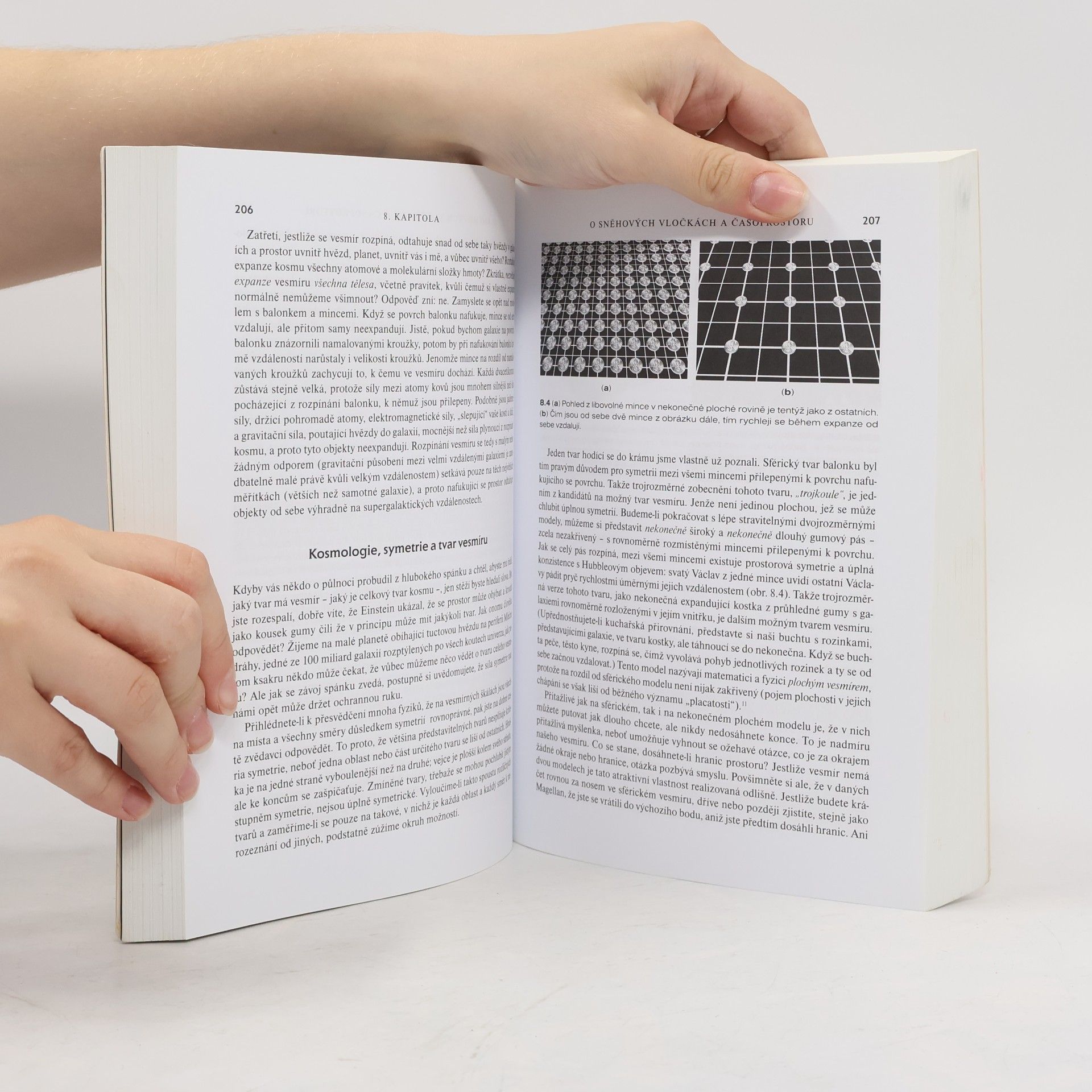 Brian Greene Struktura vesmíru. Čas, prostor a povaha reality