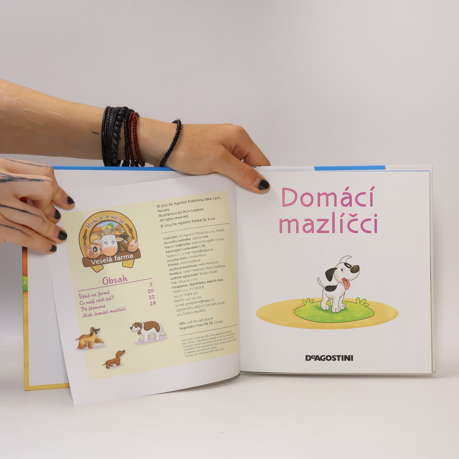 Autorenkollektiv V hospodářství 39. Domácí mazlíčci