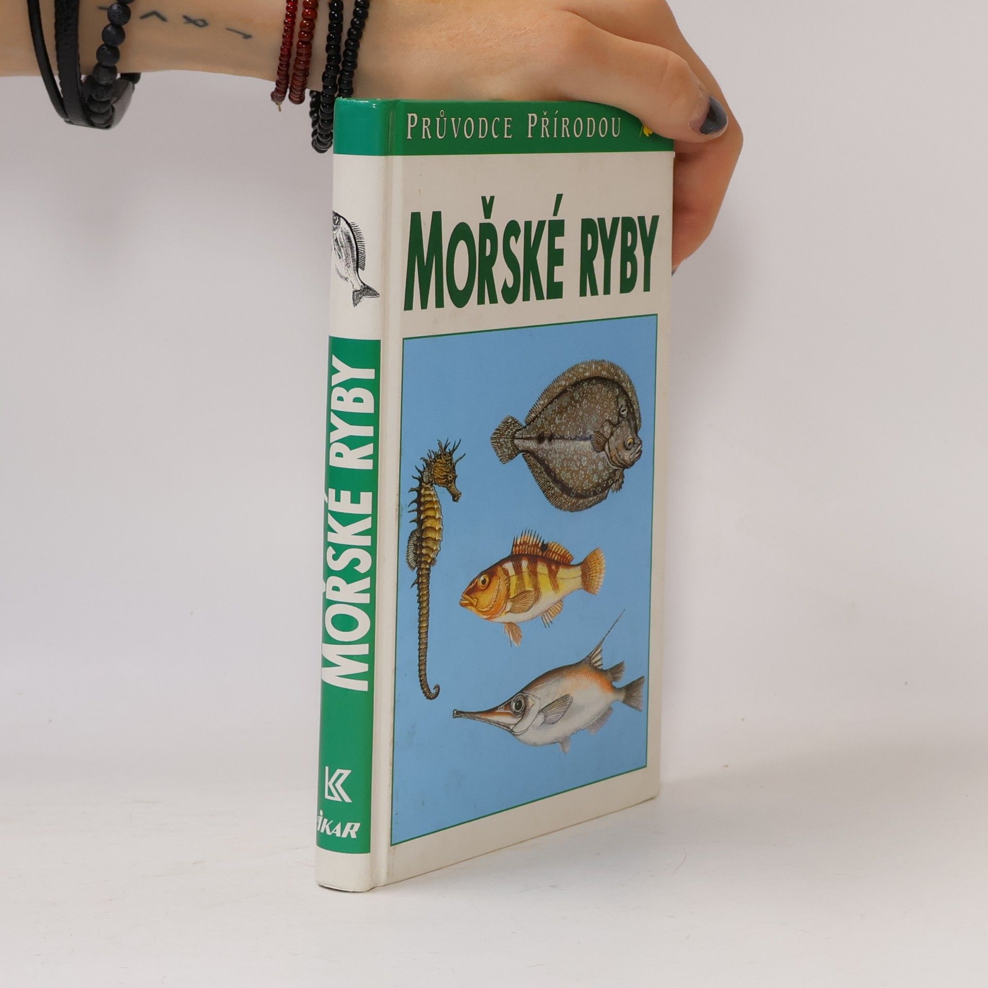 Mořské ryby v evropských vodách