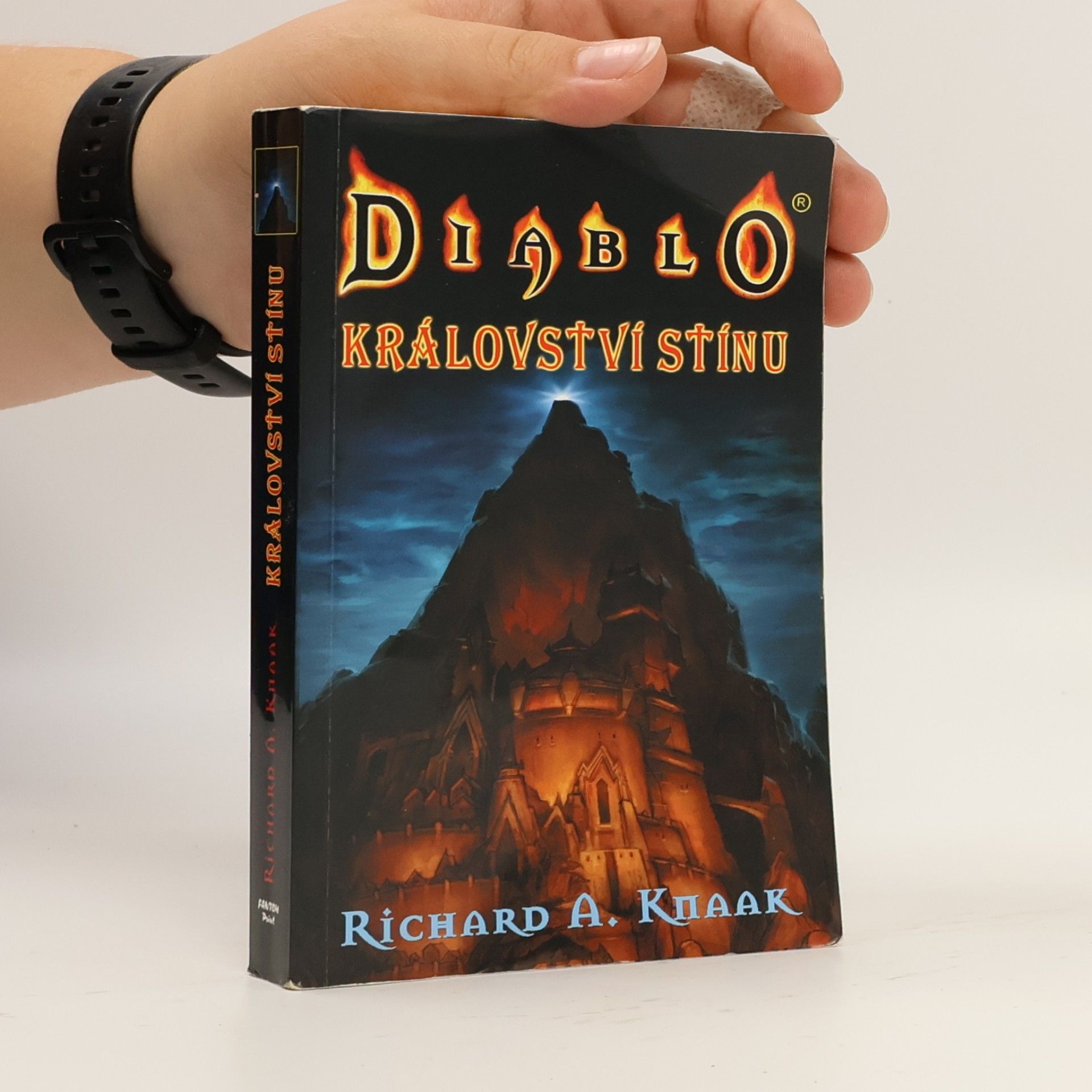 Richard A. Knaak Diablo. Království stínu