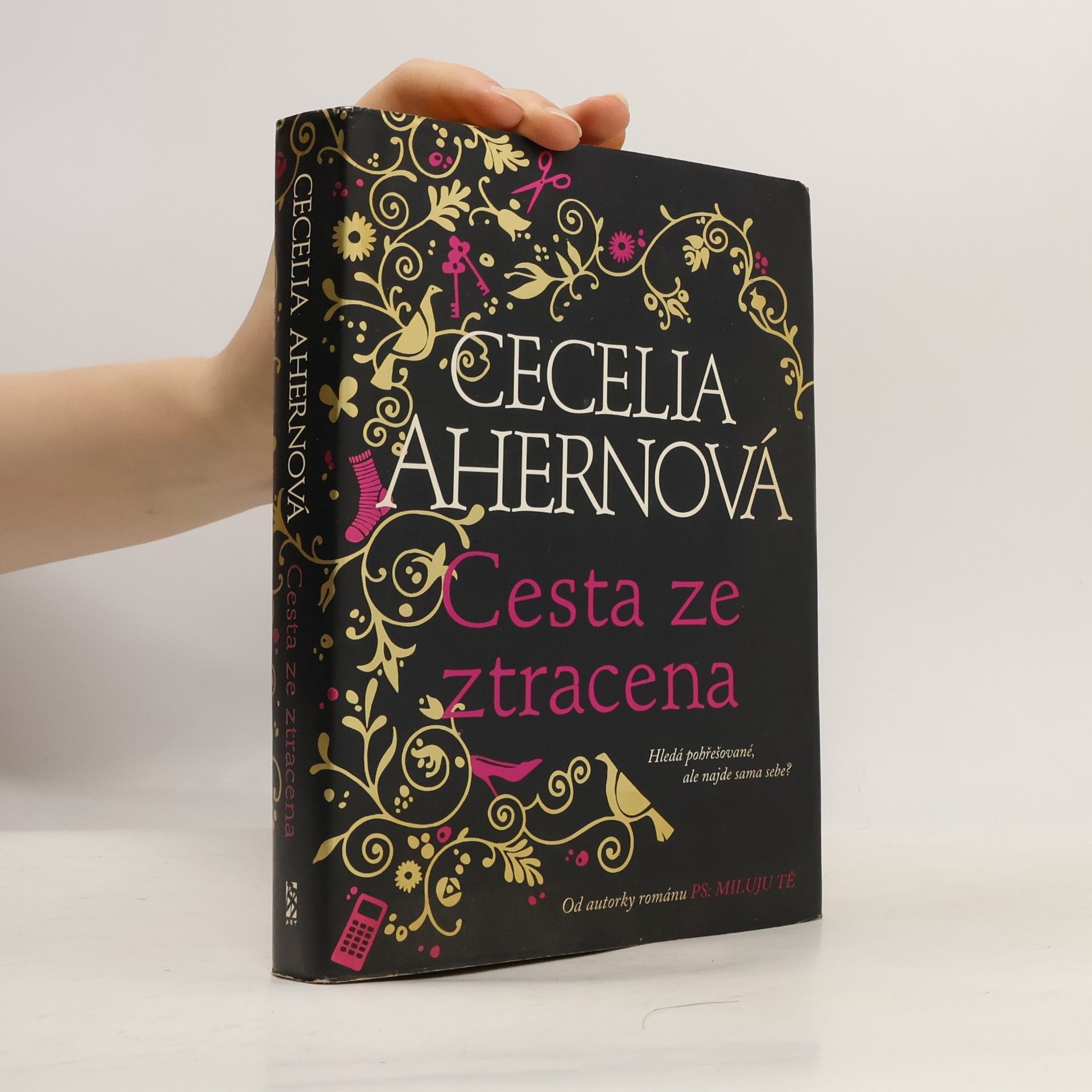 Cecelia Ahern Cesta ze ztracena