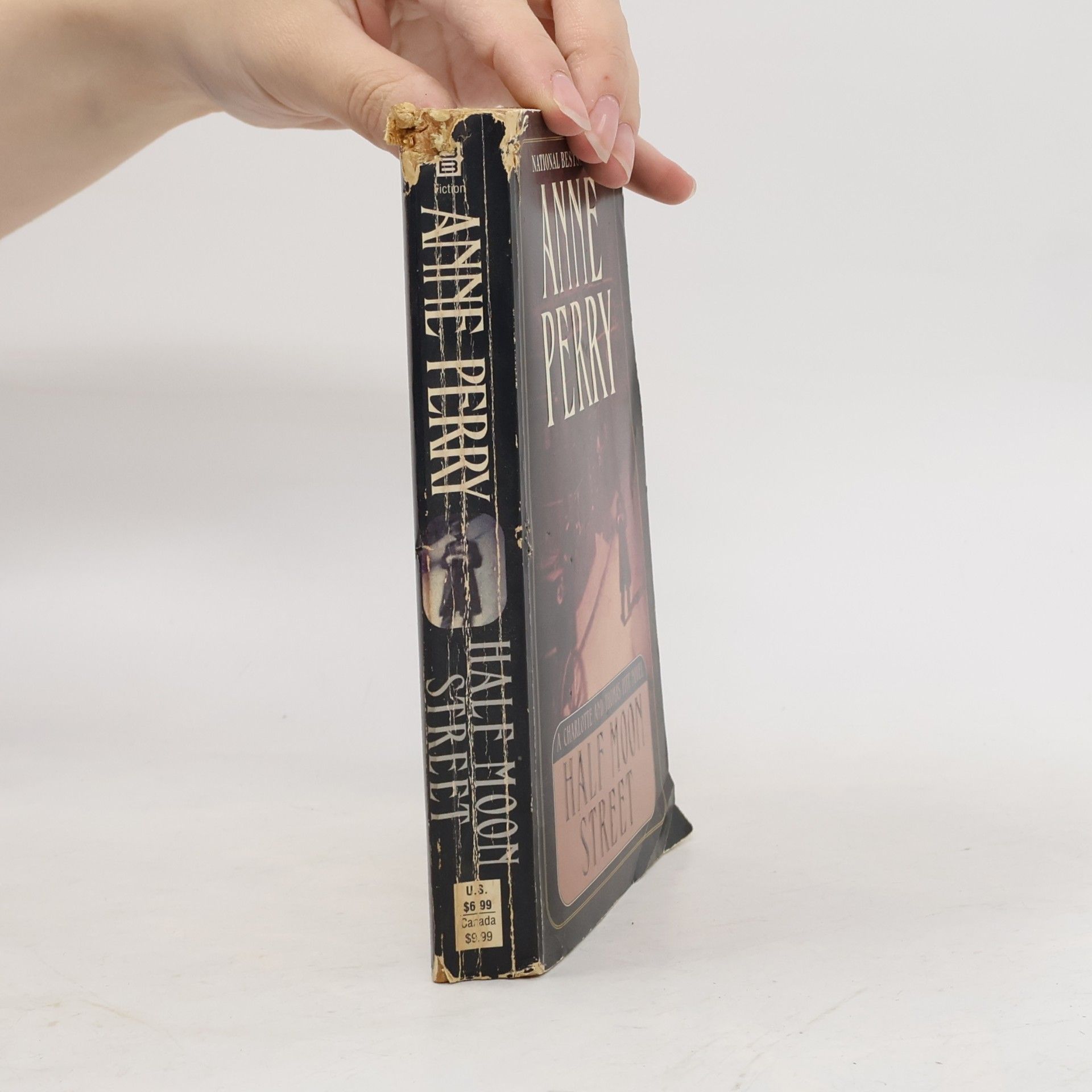 Anne Perry A Charlotte and Thomas Pitt Novel: Half Moon Street