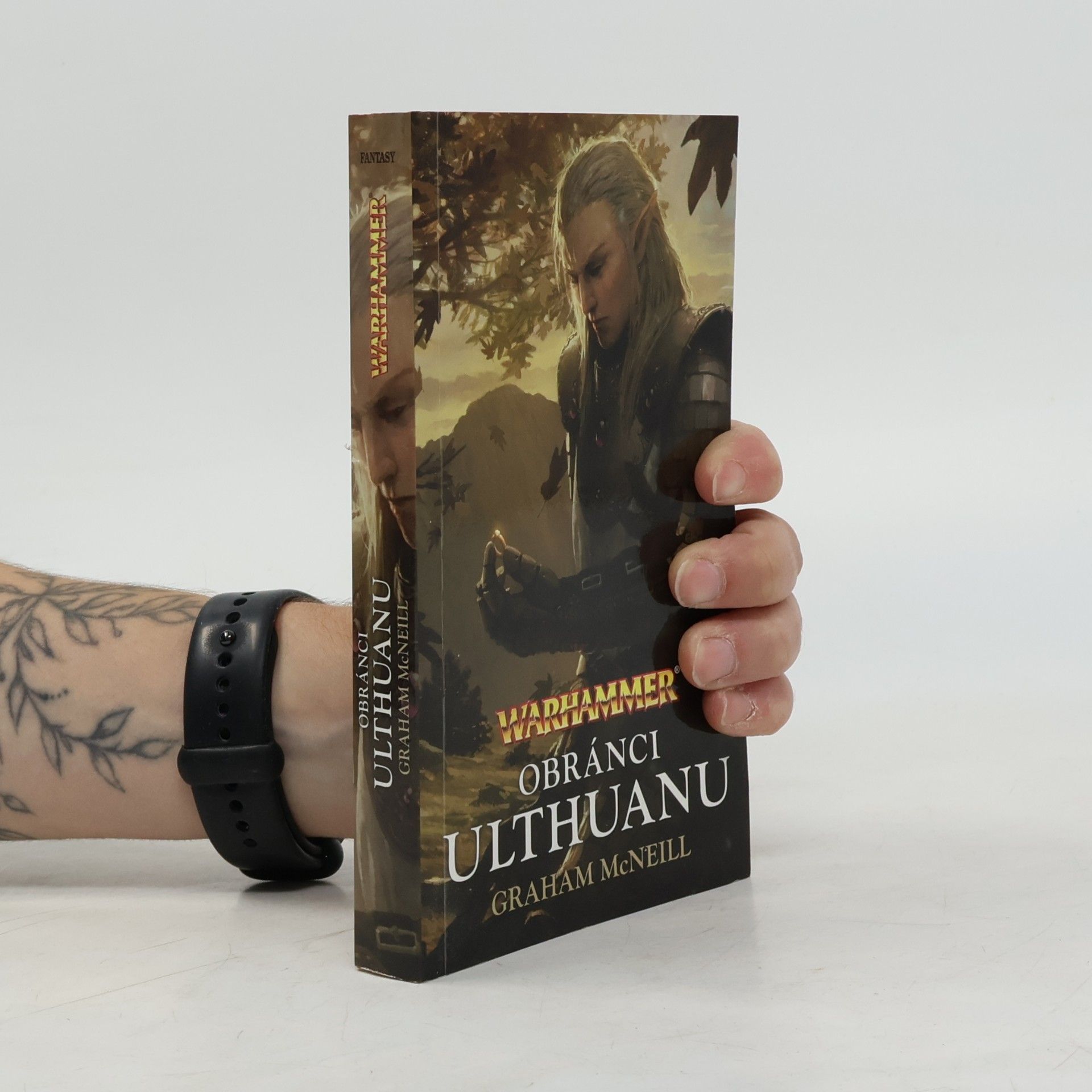 Obránci Ulthuanu
