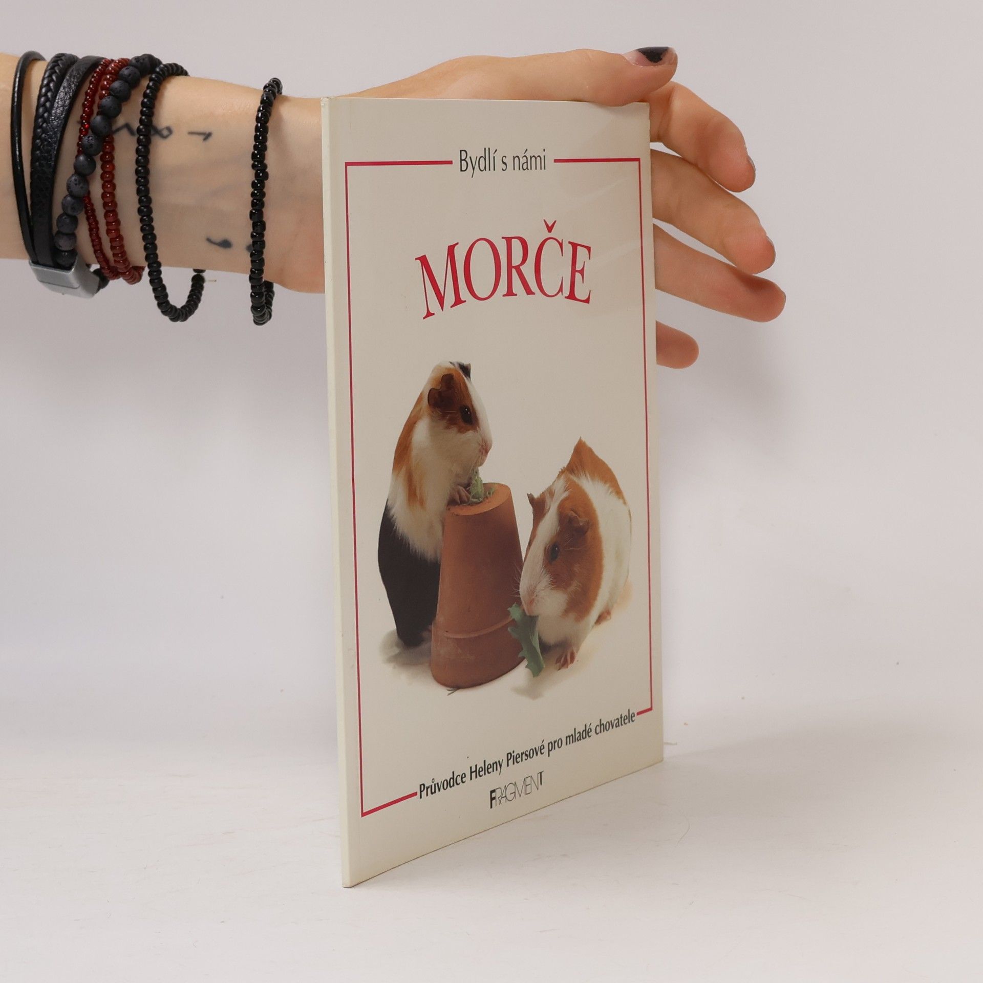 Helen Piers Bydlí s námi morče