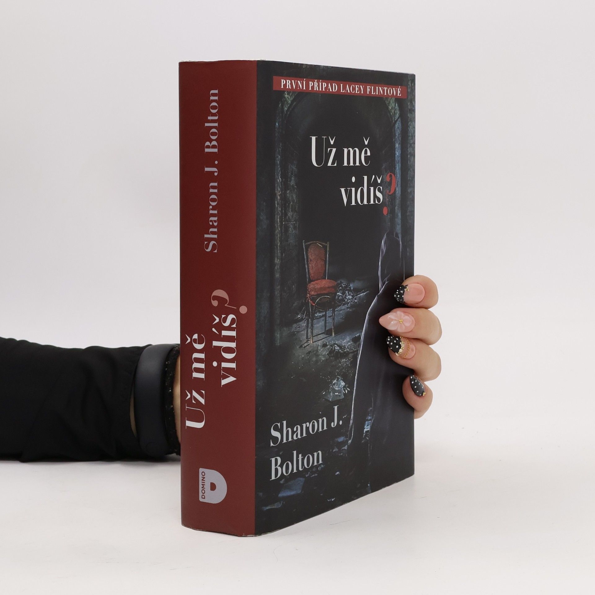 S. J. Bolton Už mě vidíš?