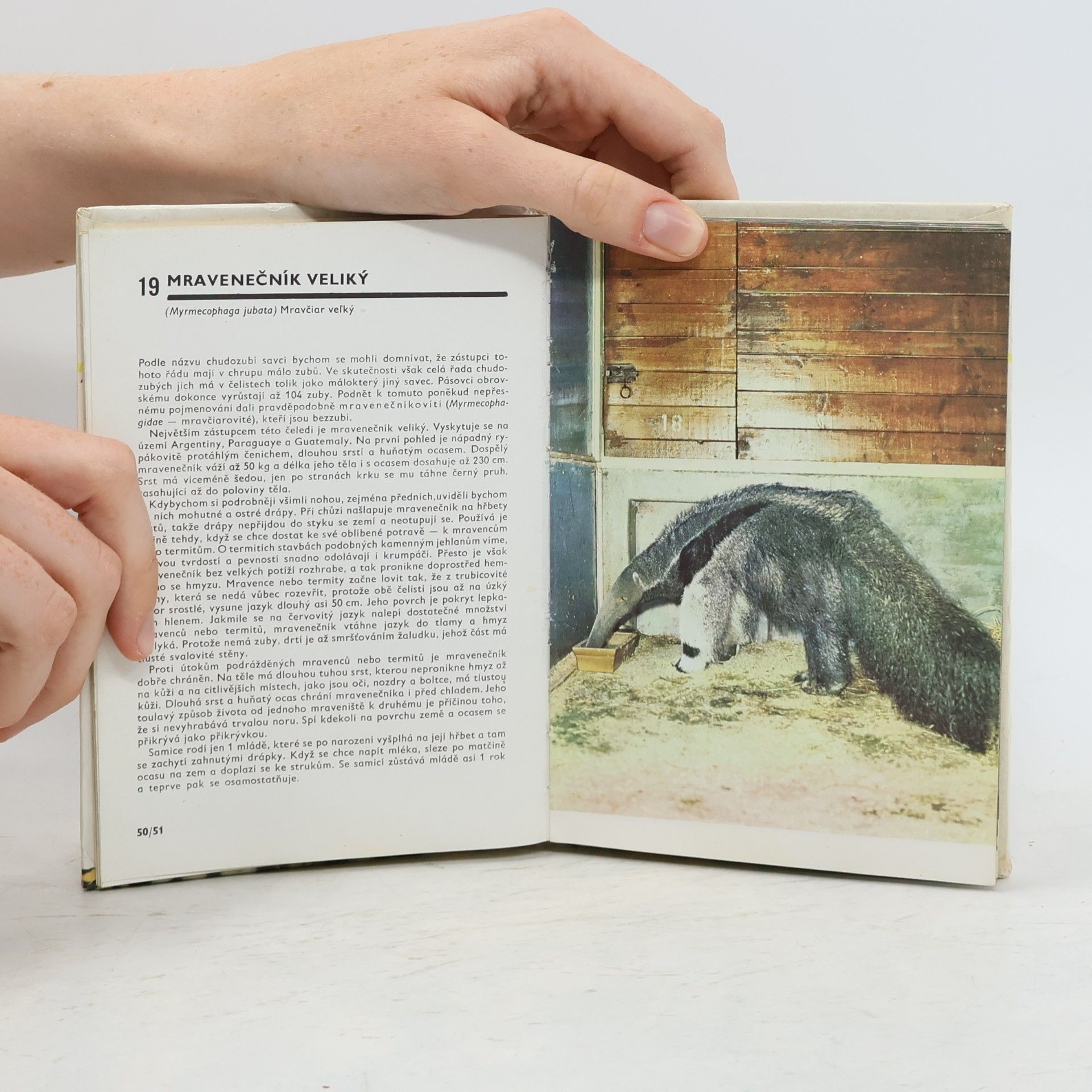 Miroslav Bouchner Kapesní atlas savců