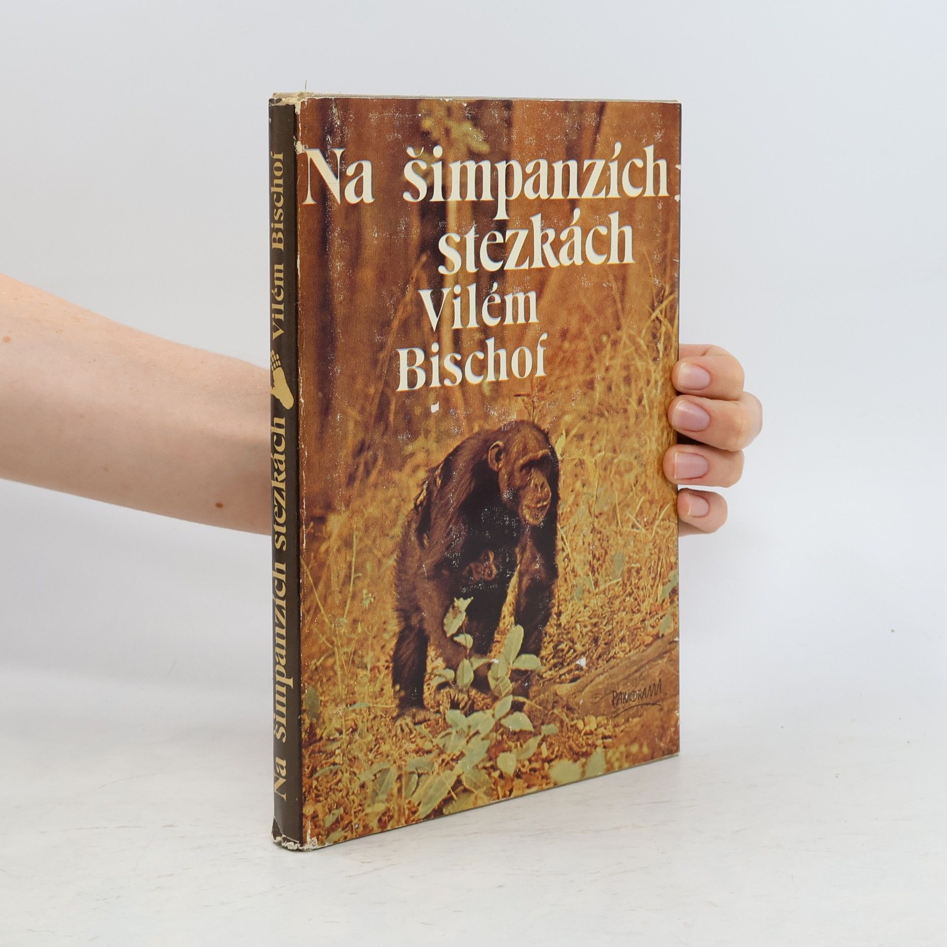 Vilém Bischof Na šimpanzích stezkách