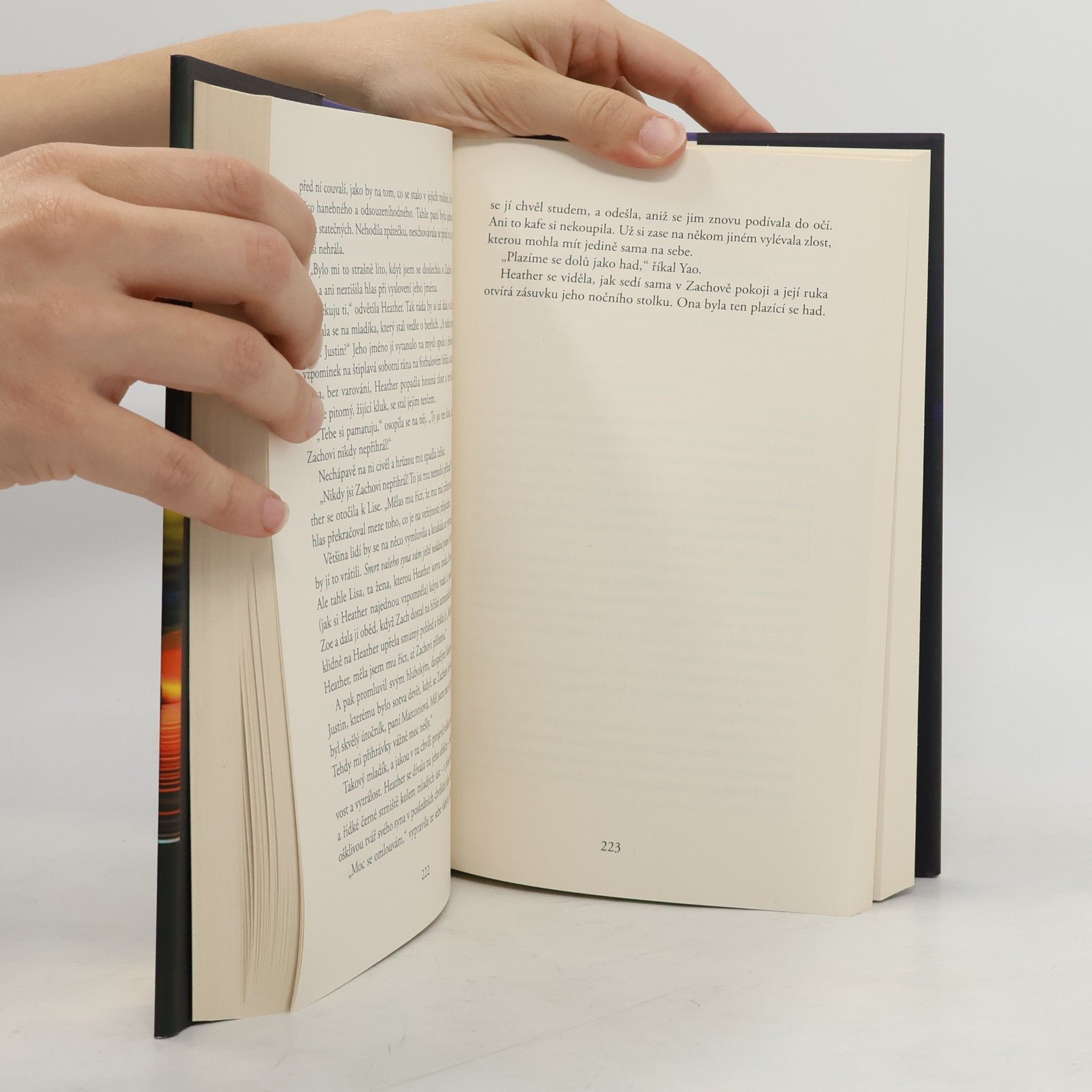 Liane Moriarty Úplně cizí lidé
