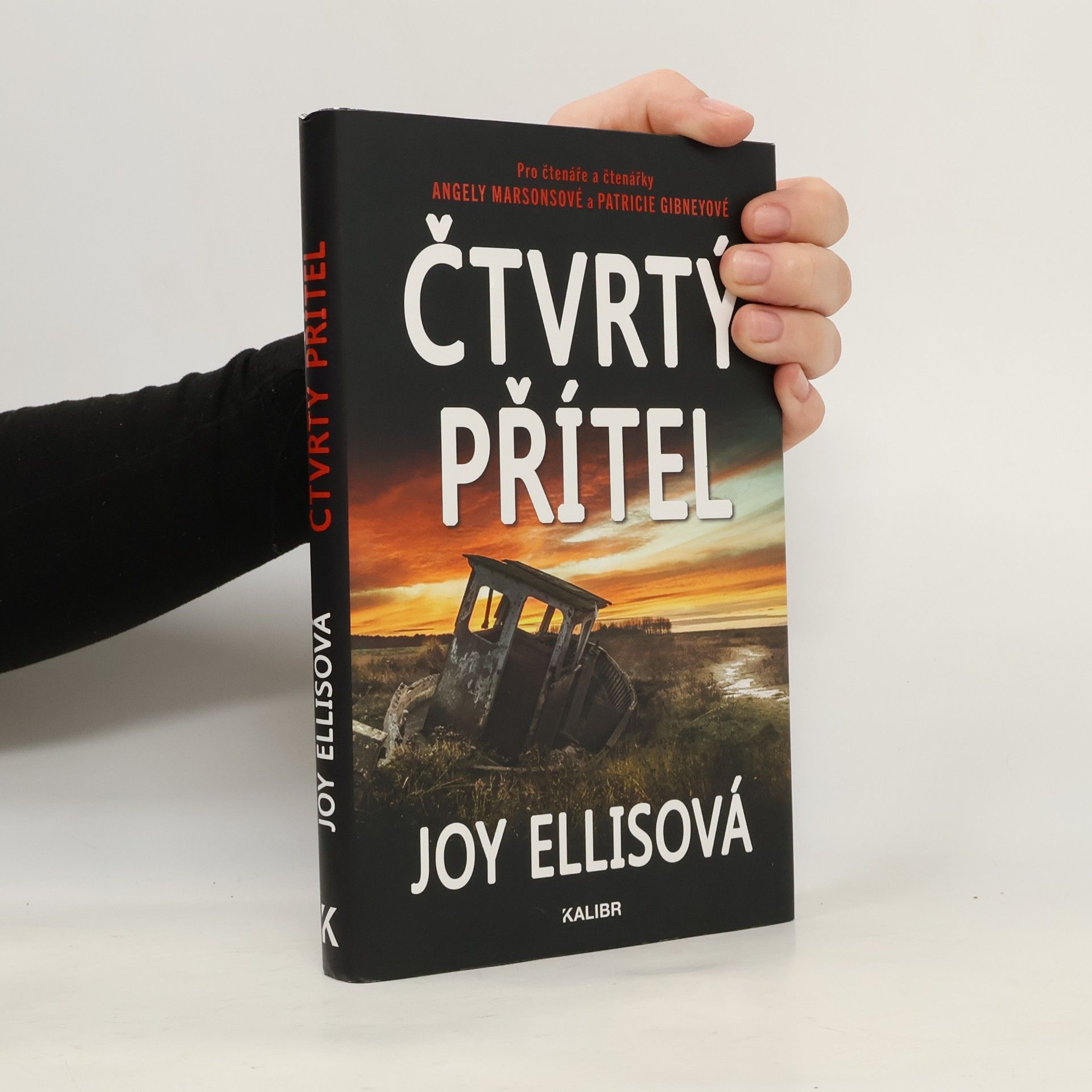 Joy Ellis Čtvrtý přítel