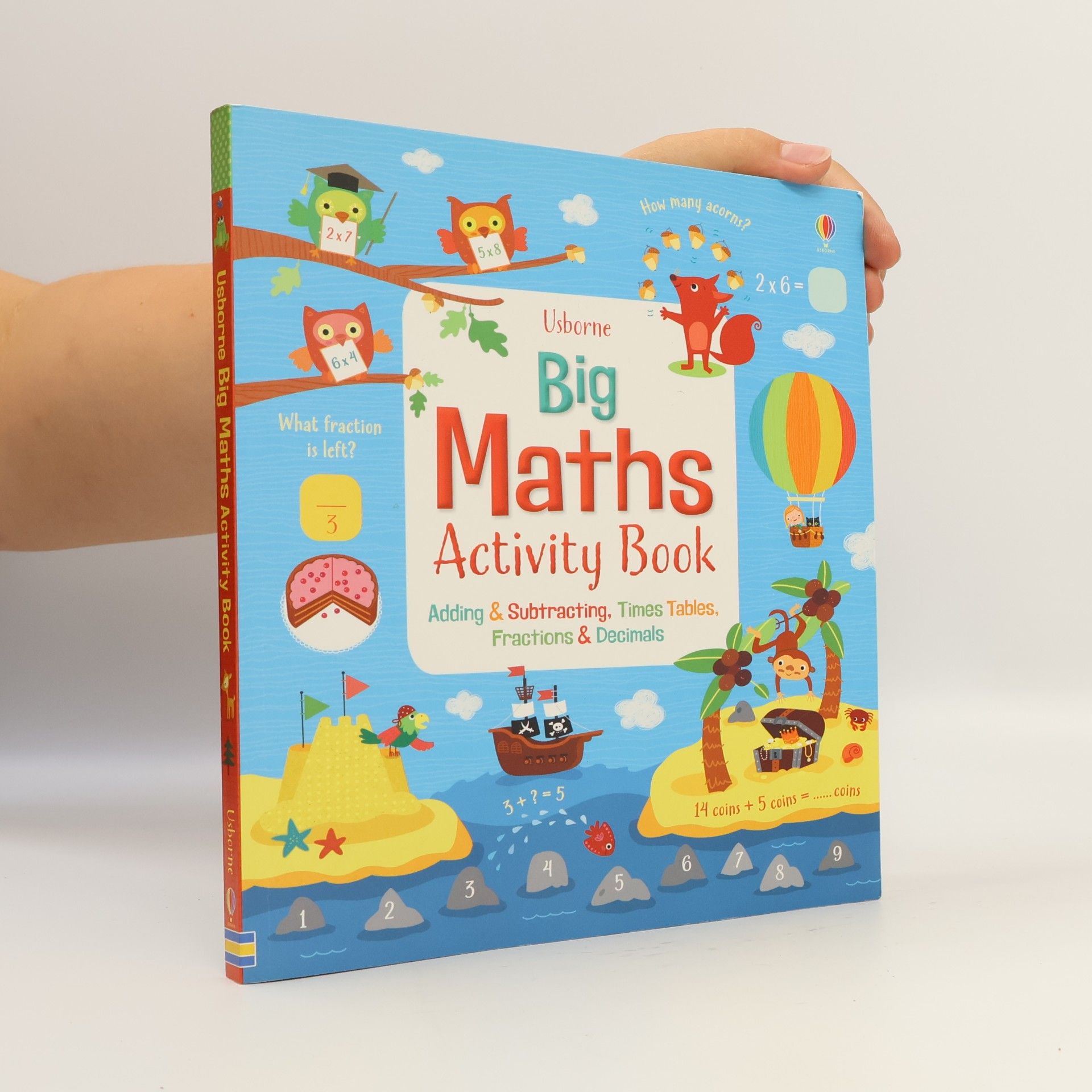 Rosie Dickins Big Maths Activity Book
