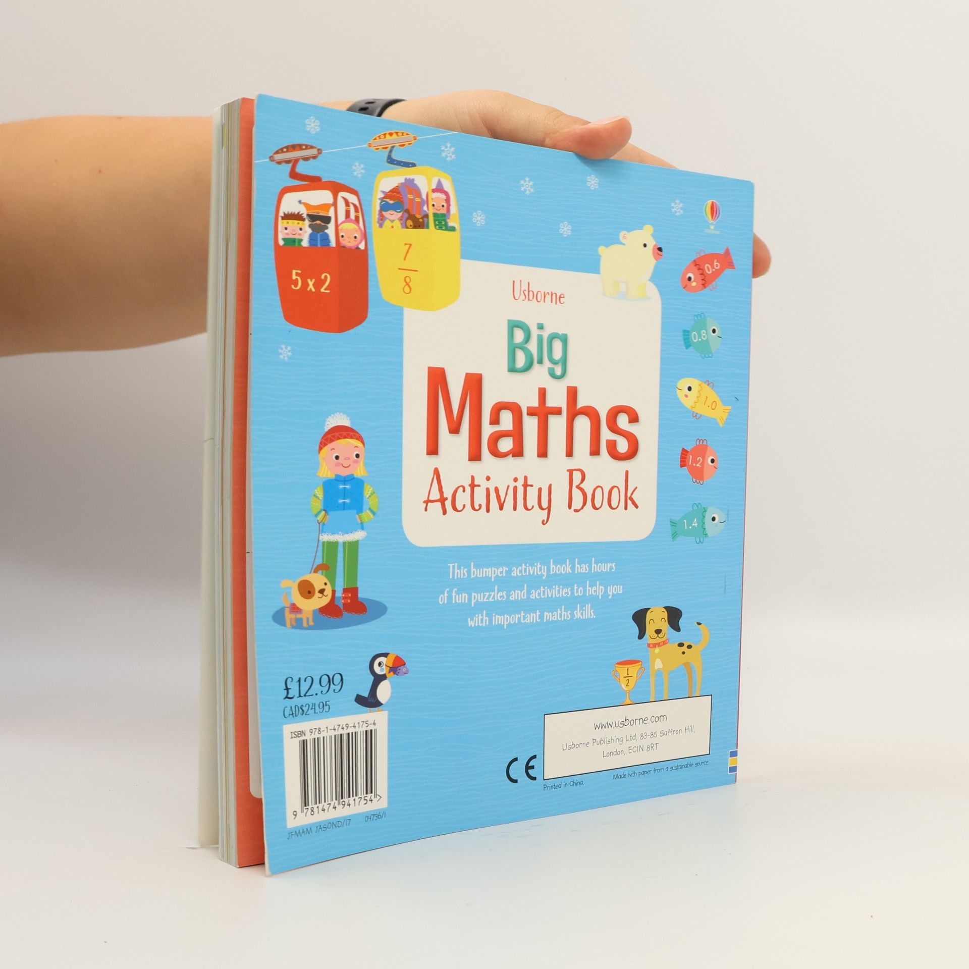 Rosie Dickins Big Maths Activity Book