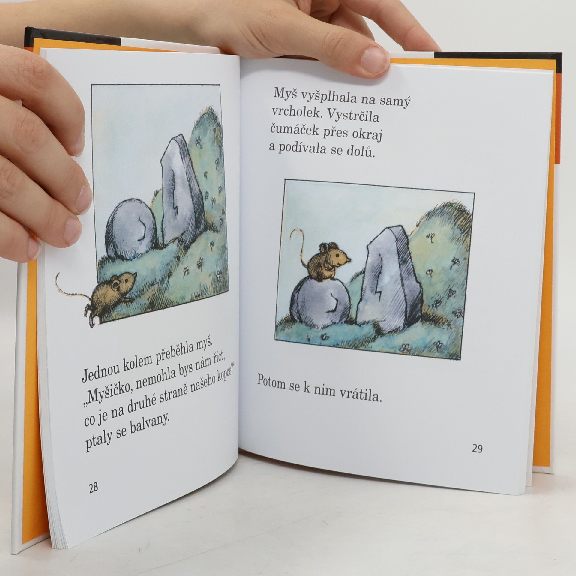 Arnold Lobel Myška a pohádková polívka