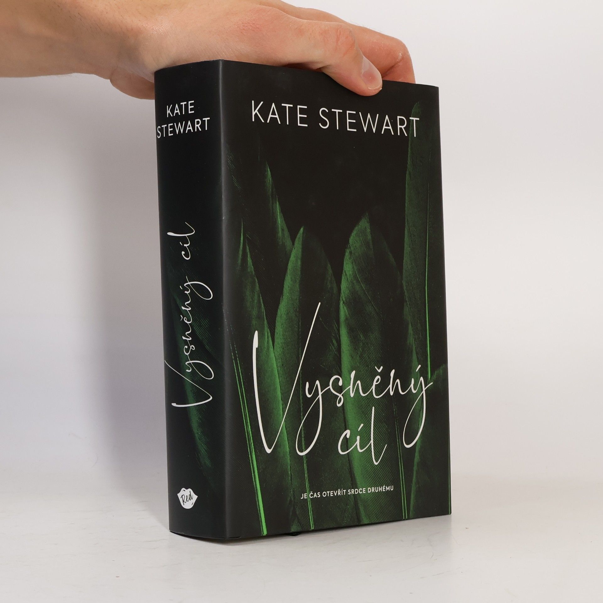 Kate Stewart Vysněný cíl. Kniha třetí