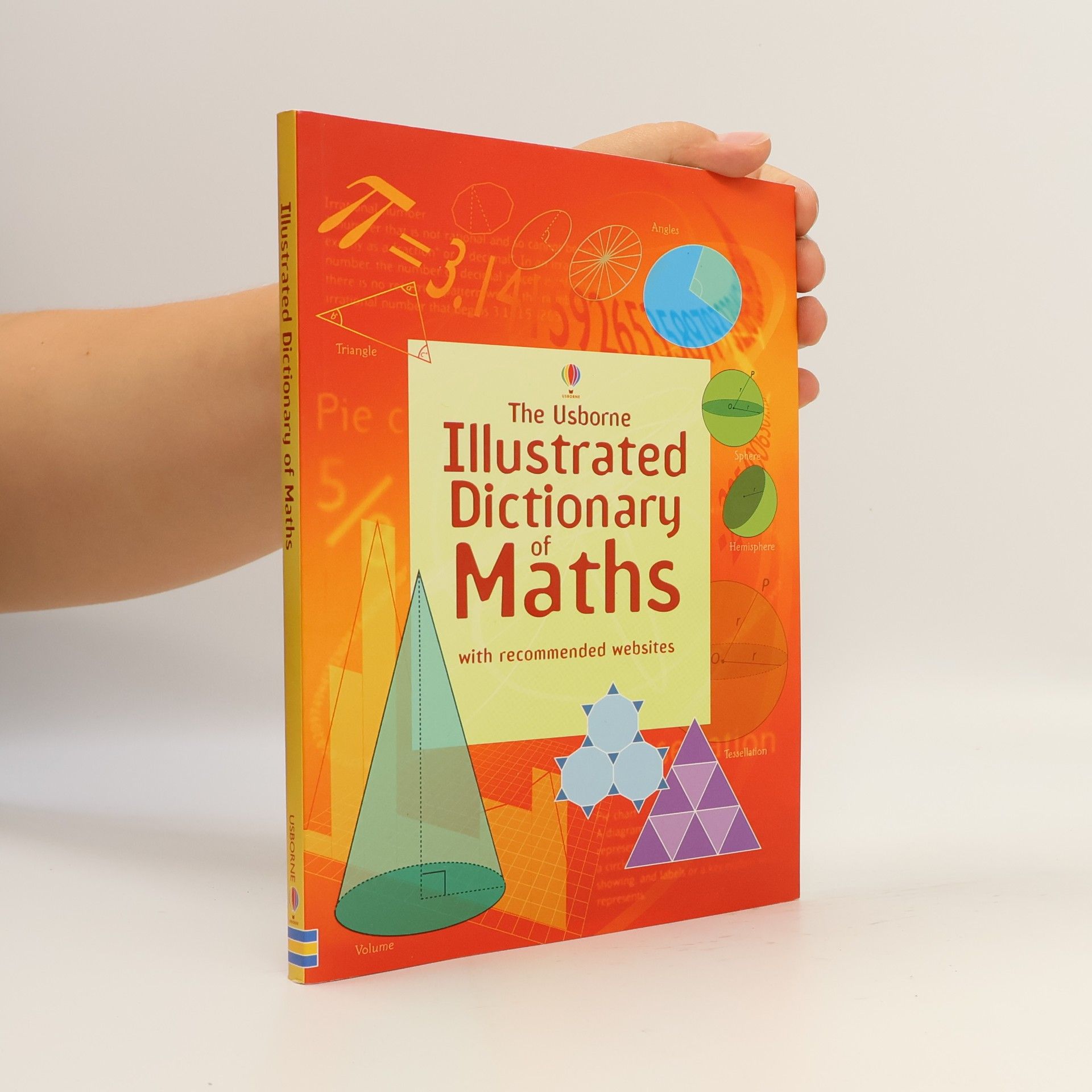 Tori Large Illustrated Dictionary of Maths