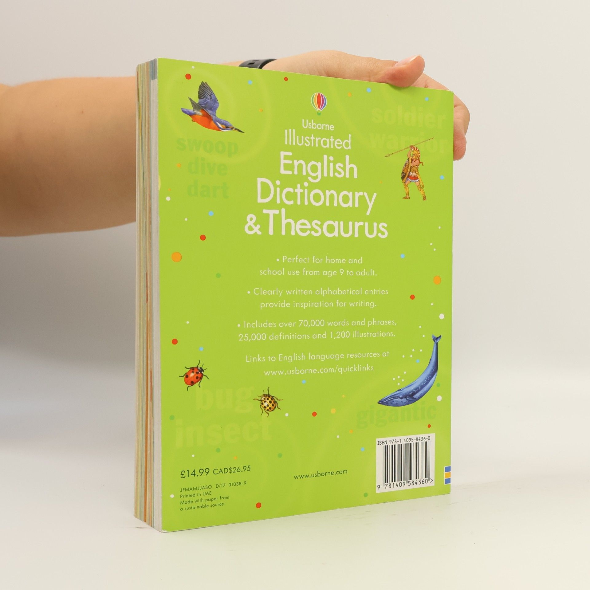 Autorenkollektiv Usborne Illustrated English dictionary & Thesaurus