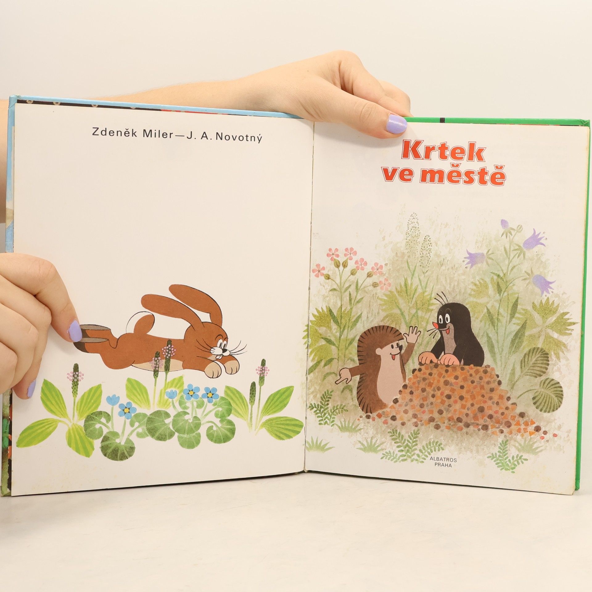 Zdeněk Miler Krtek ve městě