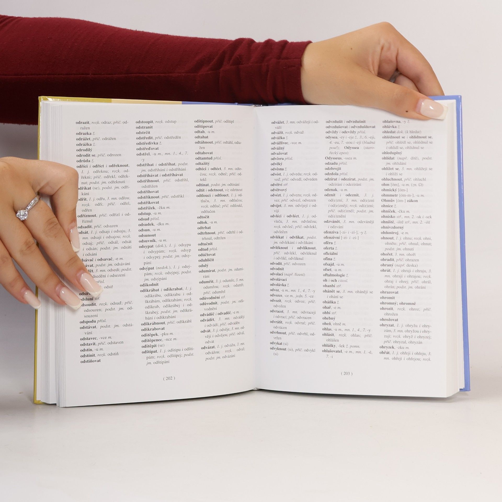 Autorenkollektiv Pravidla českého pravopisu