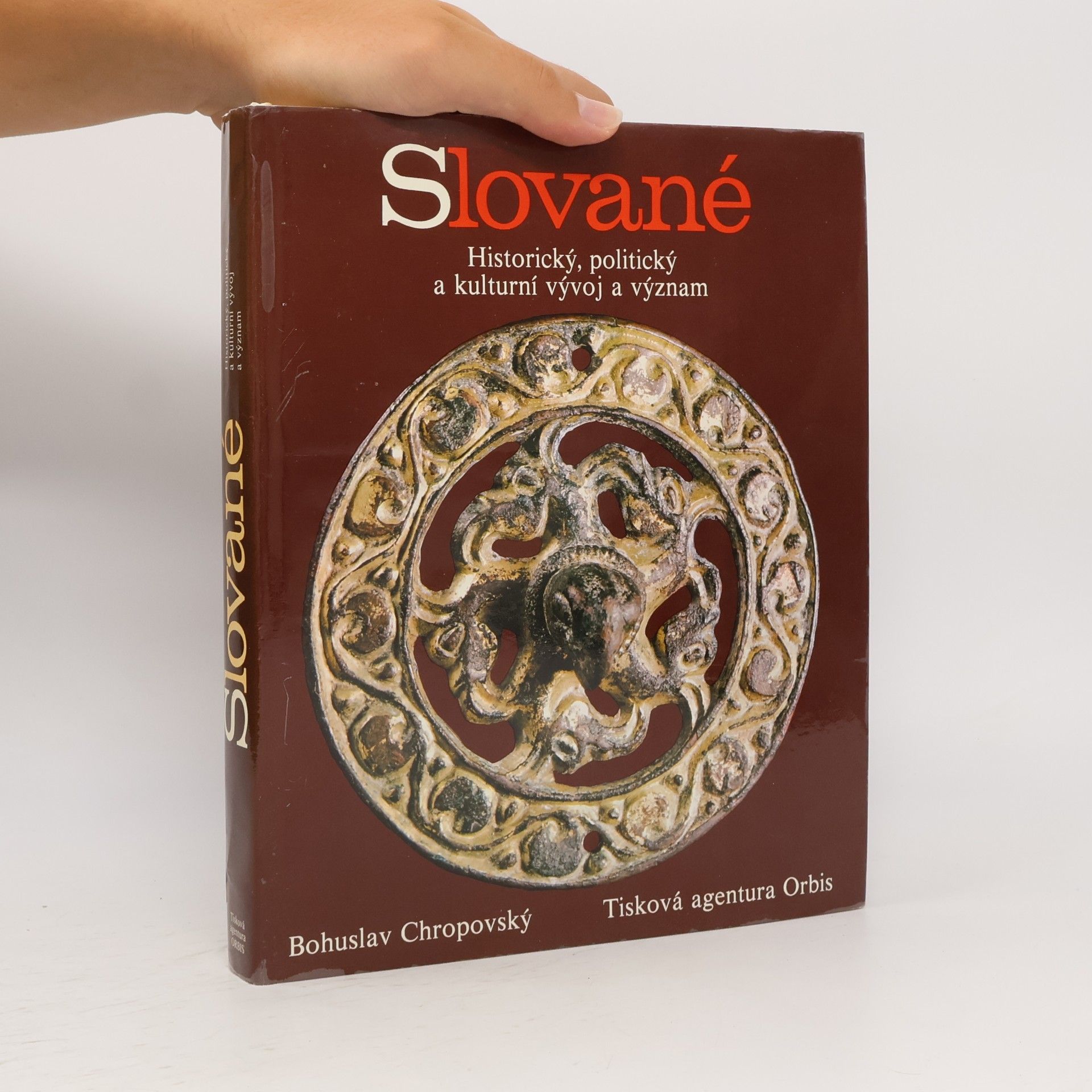 Slované. Historický, politický a kulturní vývoj a význam