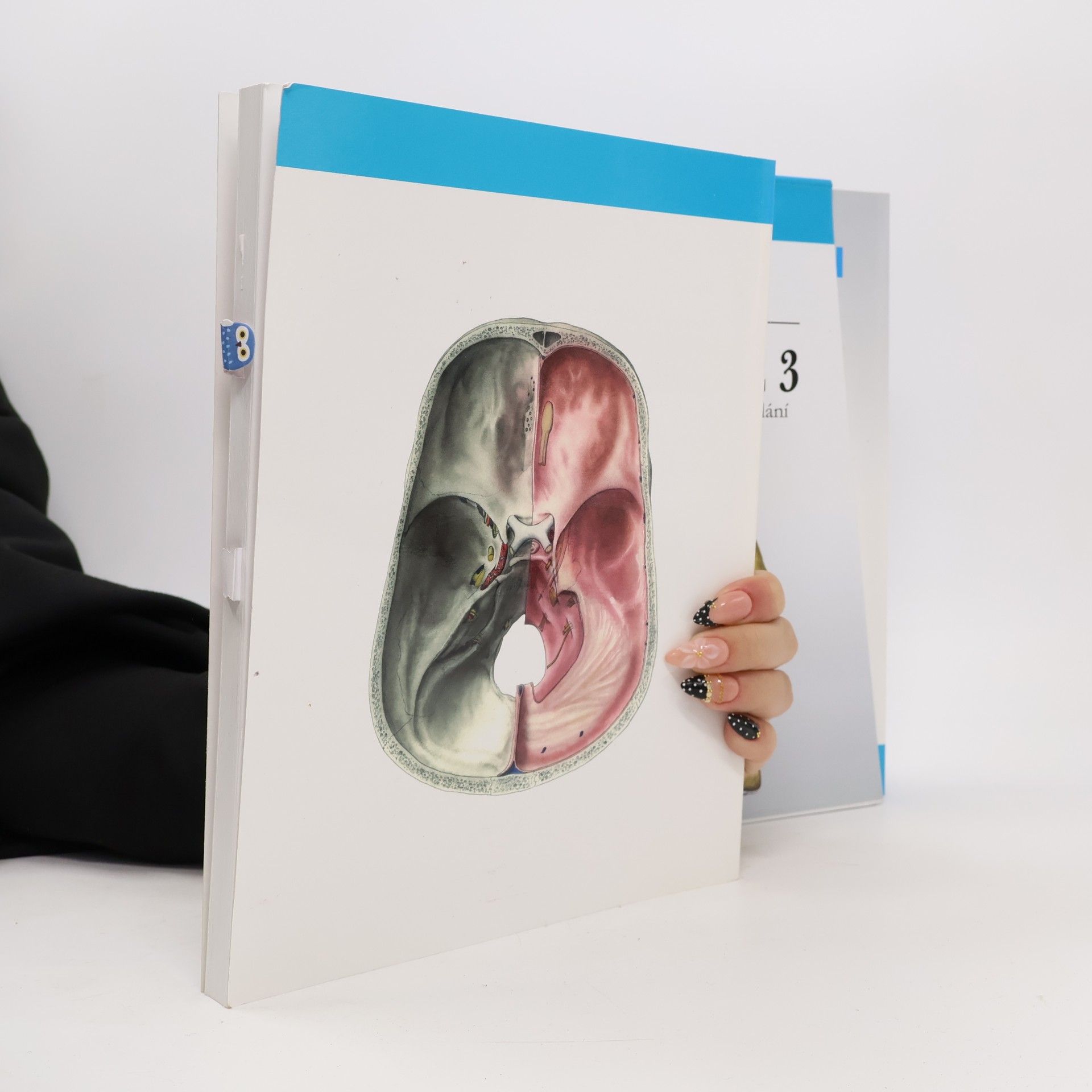 Radomír Čihák Anatomie 3. Svazky I-III