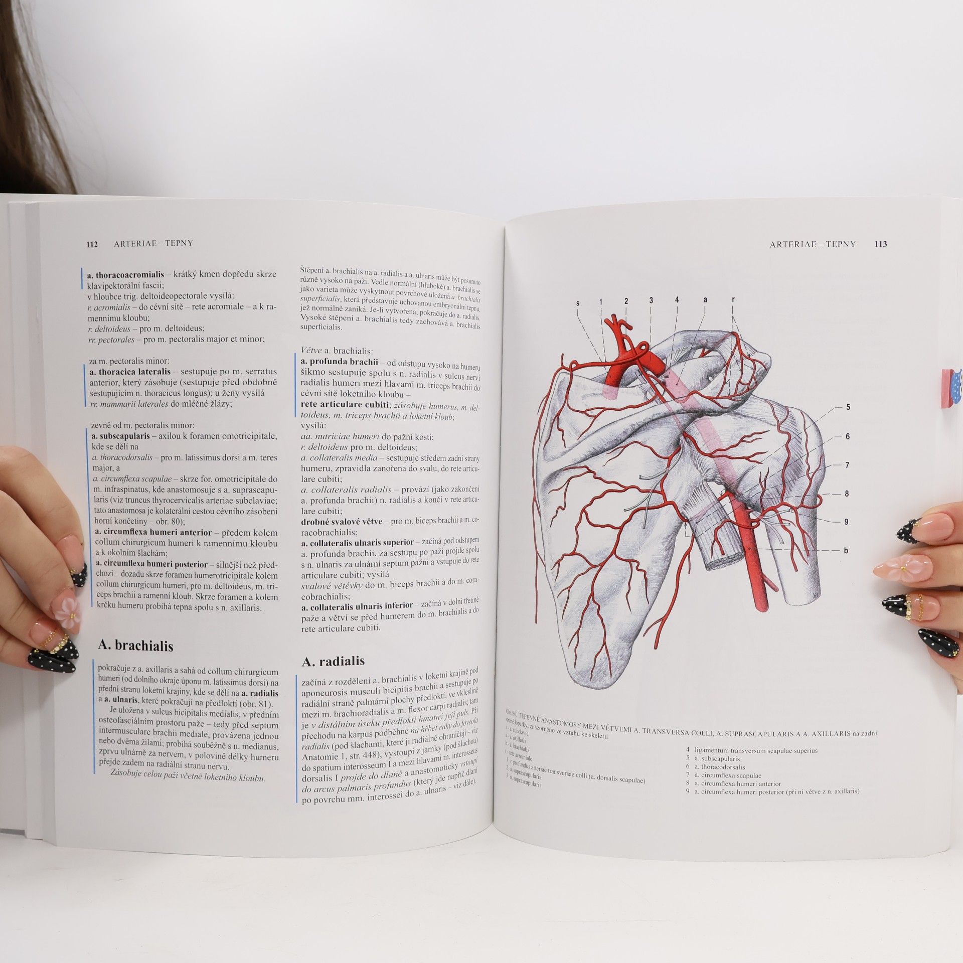 Radomír Čihák Anatomie 3. Svazky I-III