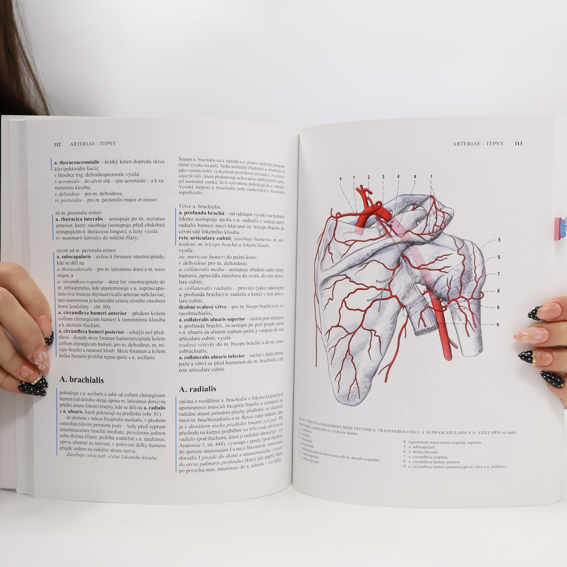 Radomír Čihák Anatomie 3. Svazky I-III