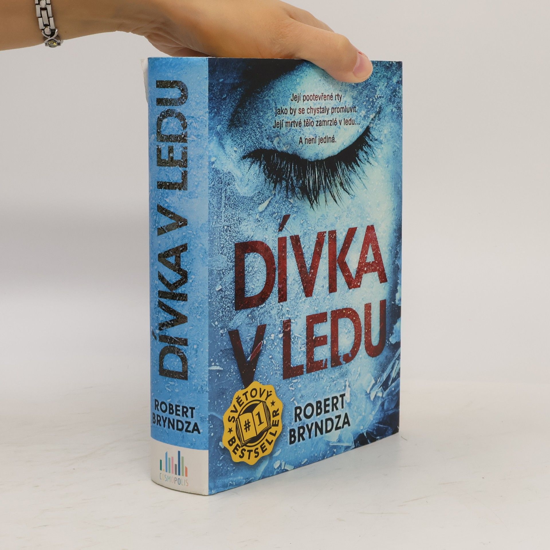 Robert Bryndza Dívka v ledu