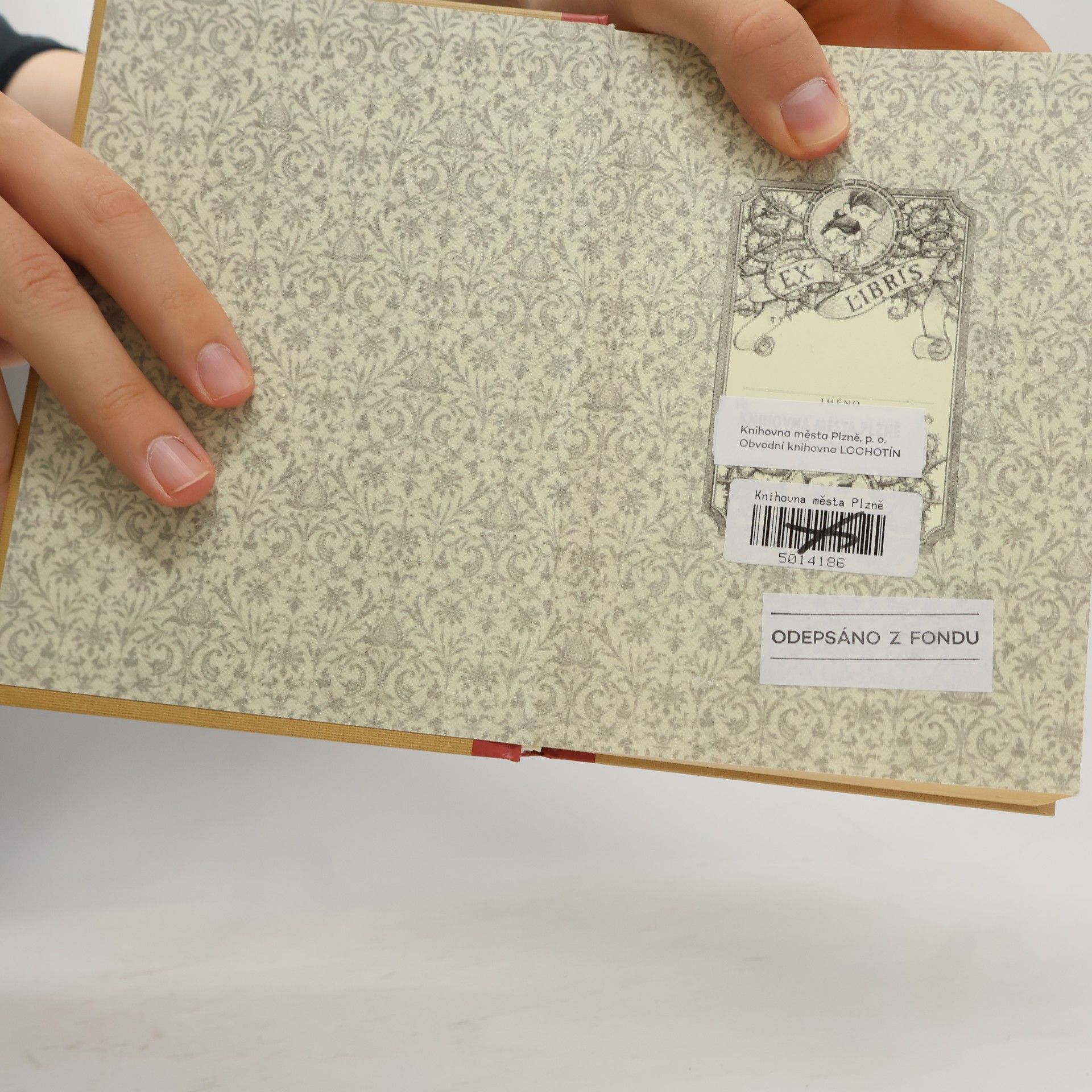 Lemony Snicket Řada nešťastných příhod. Kniha dvanáctá, Předposlední utkání