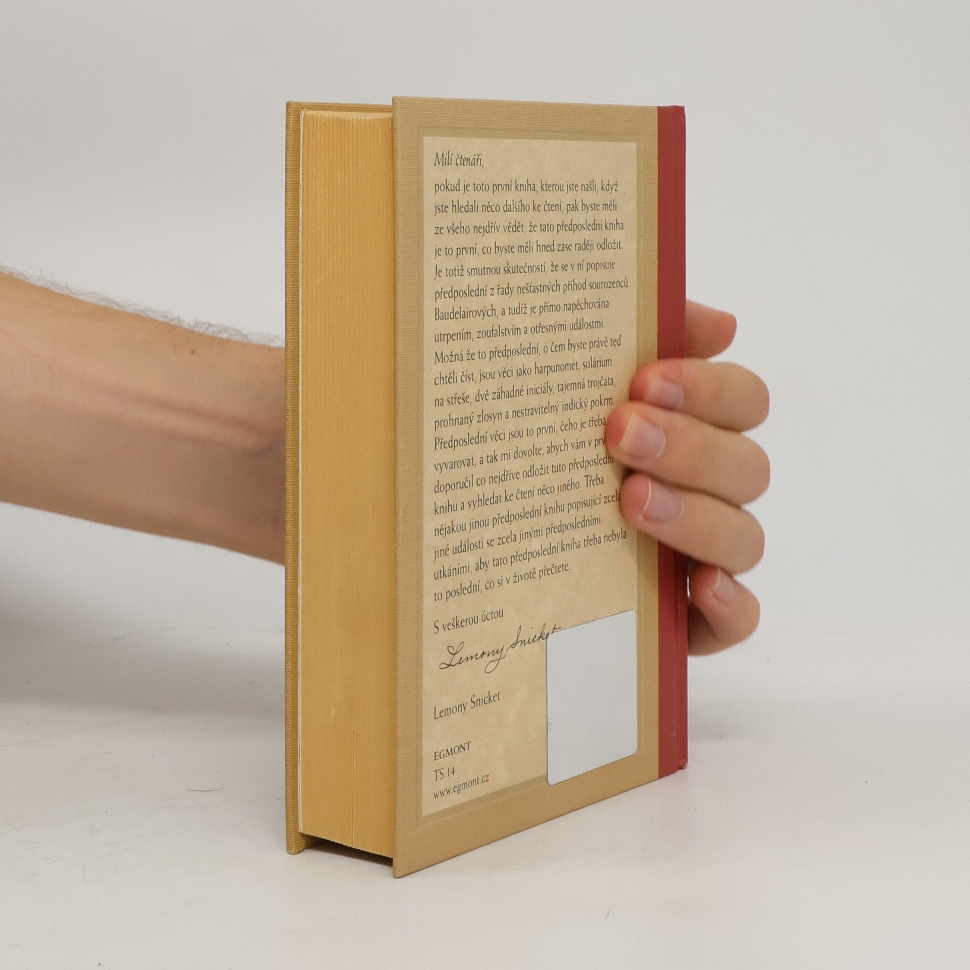 Lemony Snicket Řada nešťastných příhod. Kniha dvanáctá, Předposlední utkání