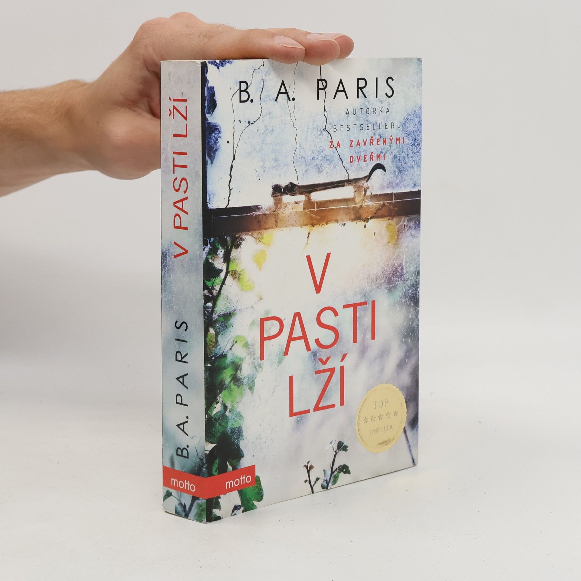 B. A. Paris V pasti lží