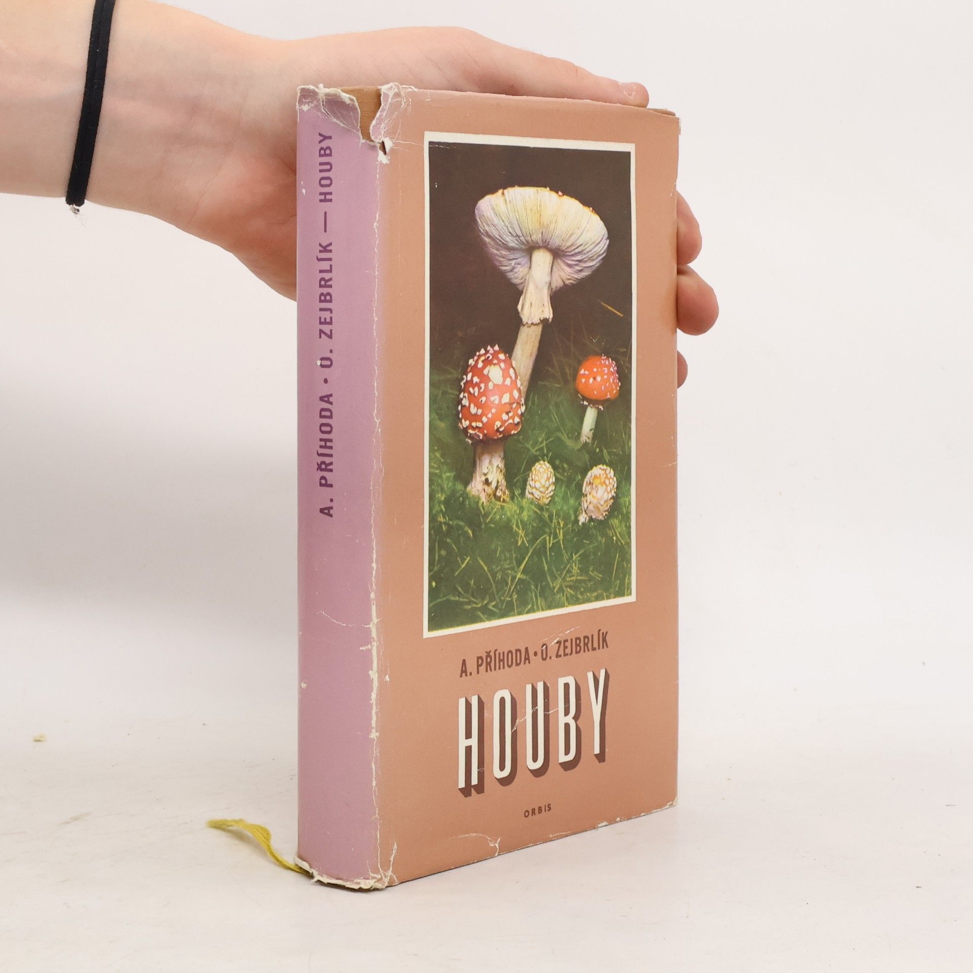 Houby