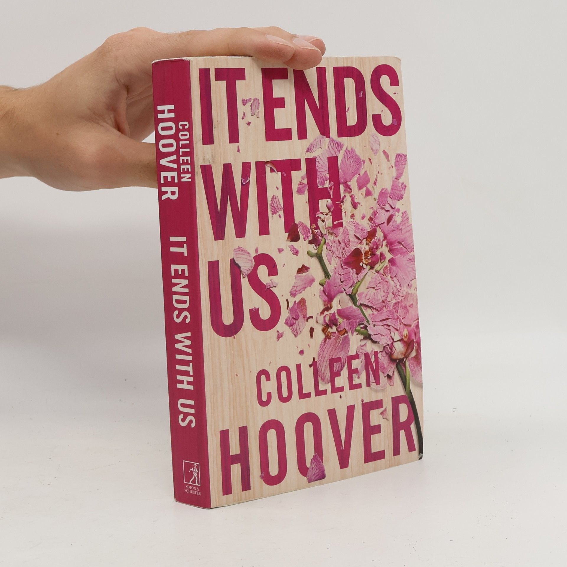 Colleen Hoover It Ends With Us