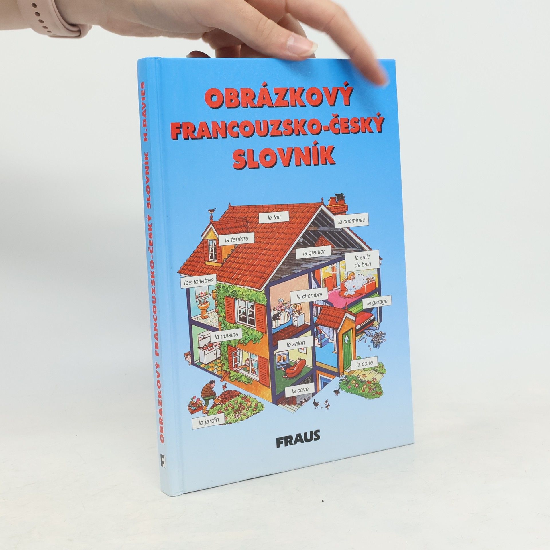 Helen Davies Obrázkový francouzsko-český slovník