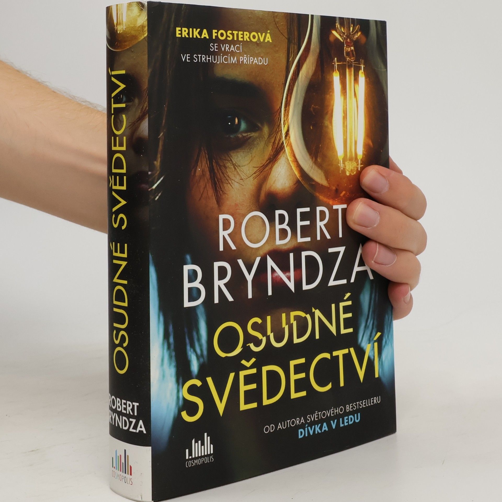Robert Bryndza Osudné svědectví