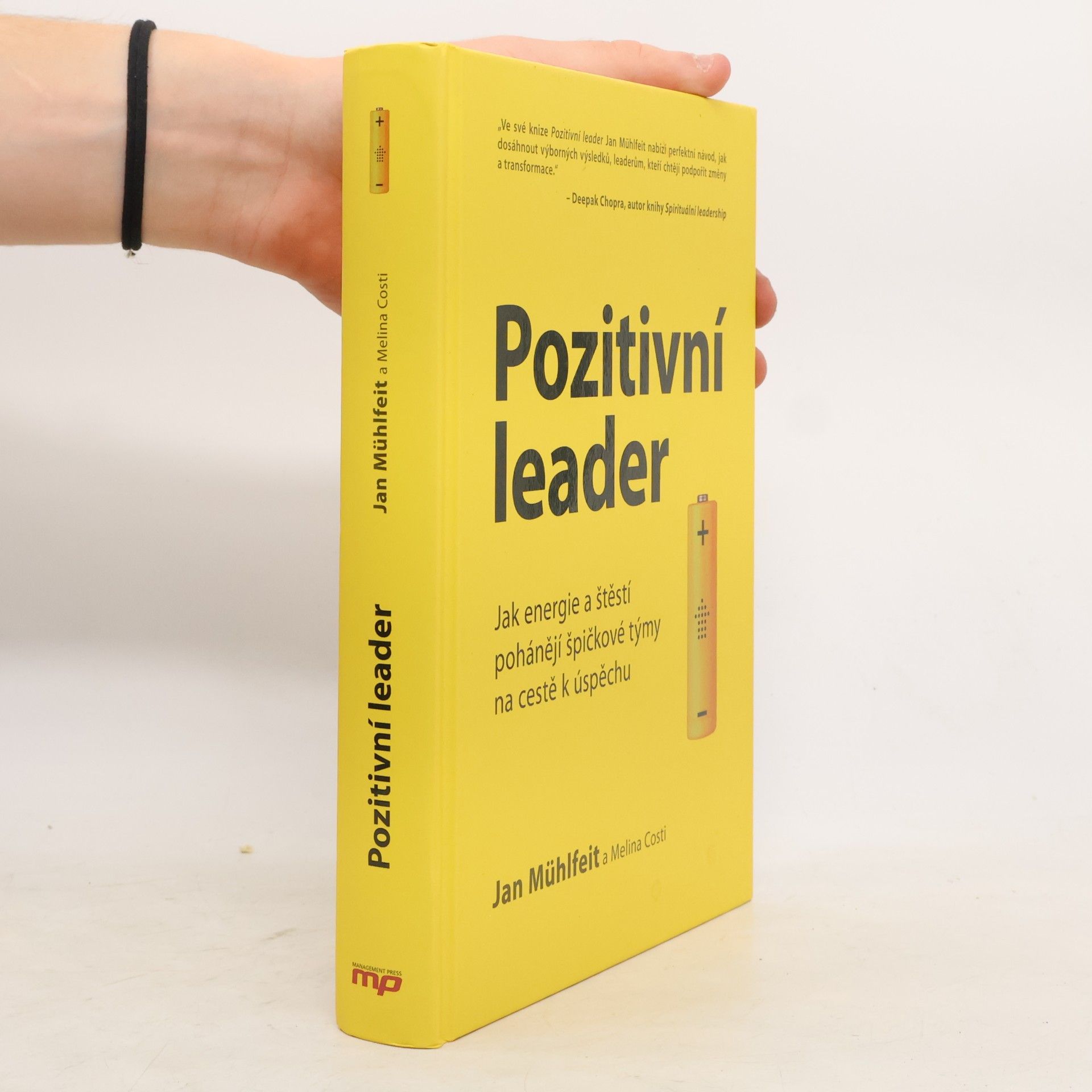 Jan Mühlfeit Pozitivní leader