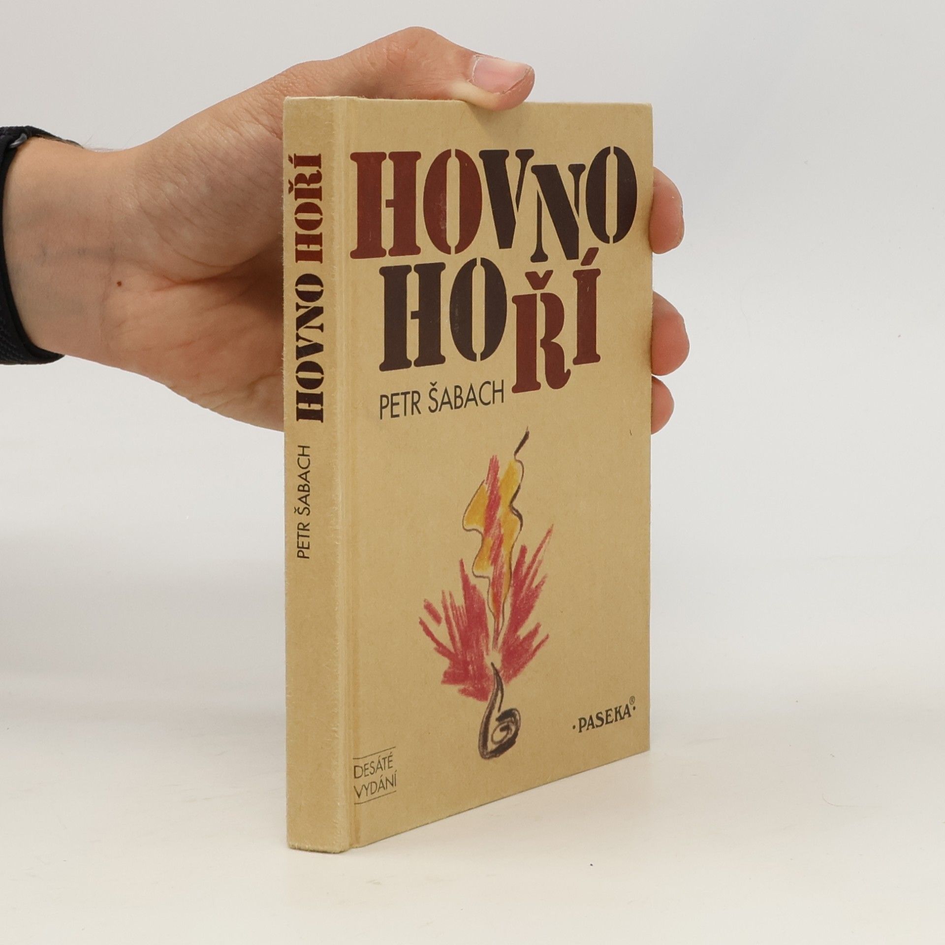 Petr Šabach Hovno hoří