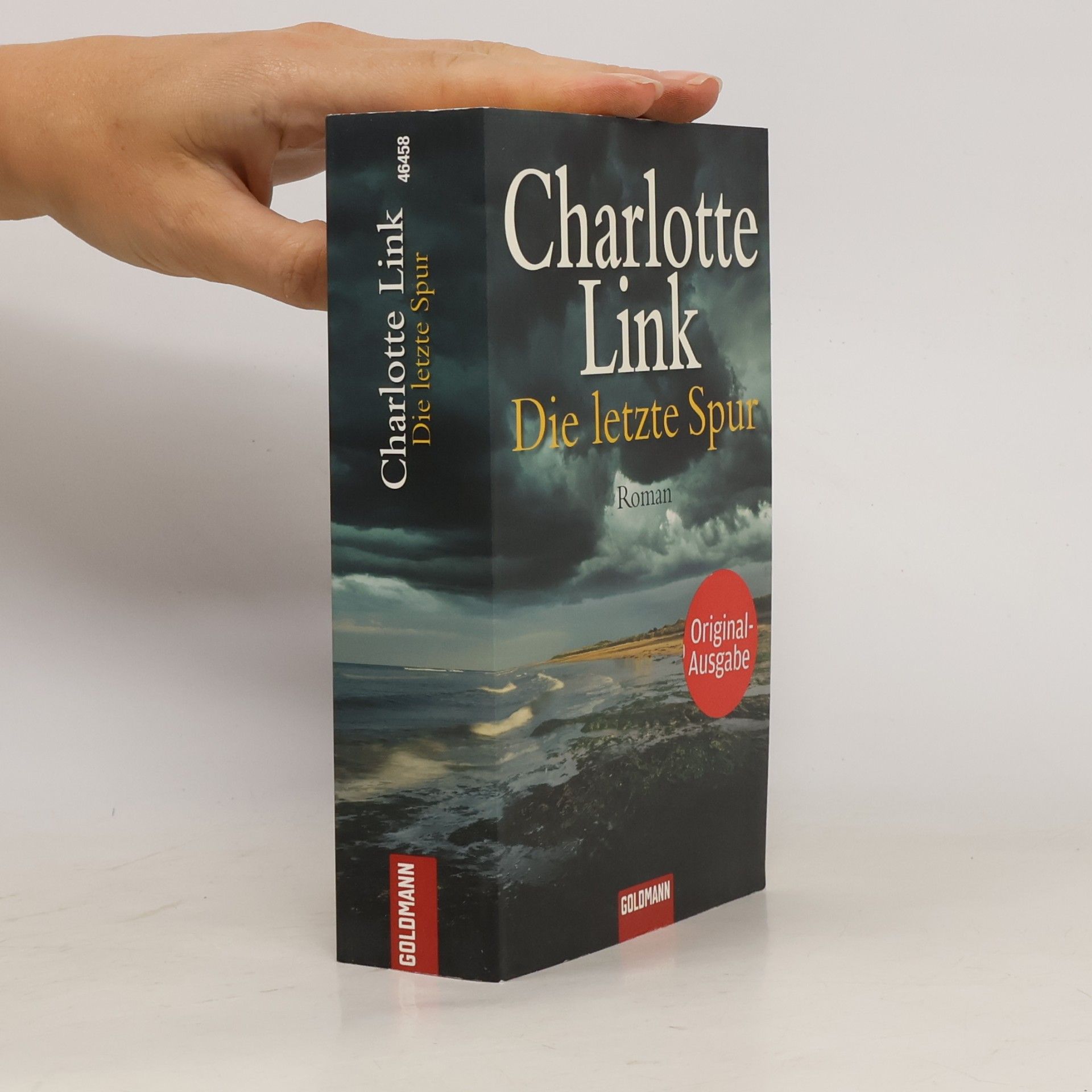 Charlotte Link Die letzte Spur