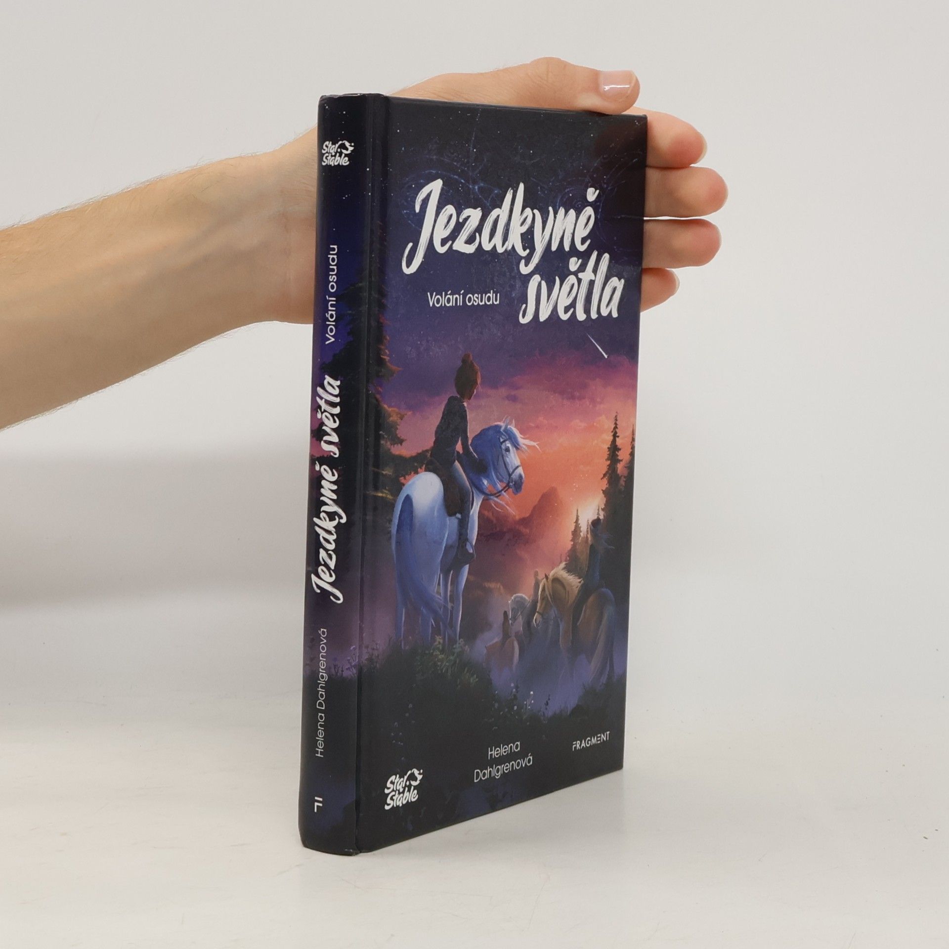 Helena Dahlgren Jezdkyně světla. Volání osudu