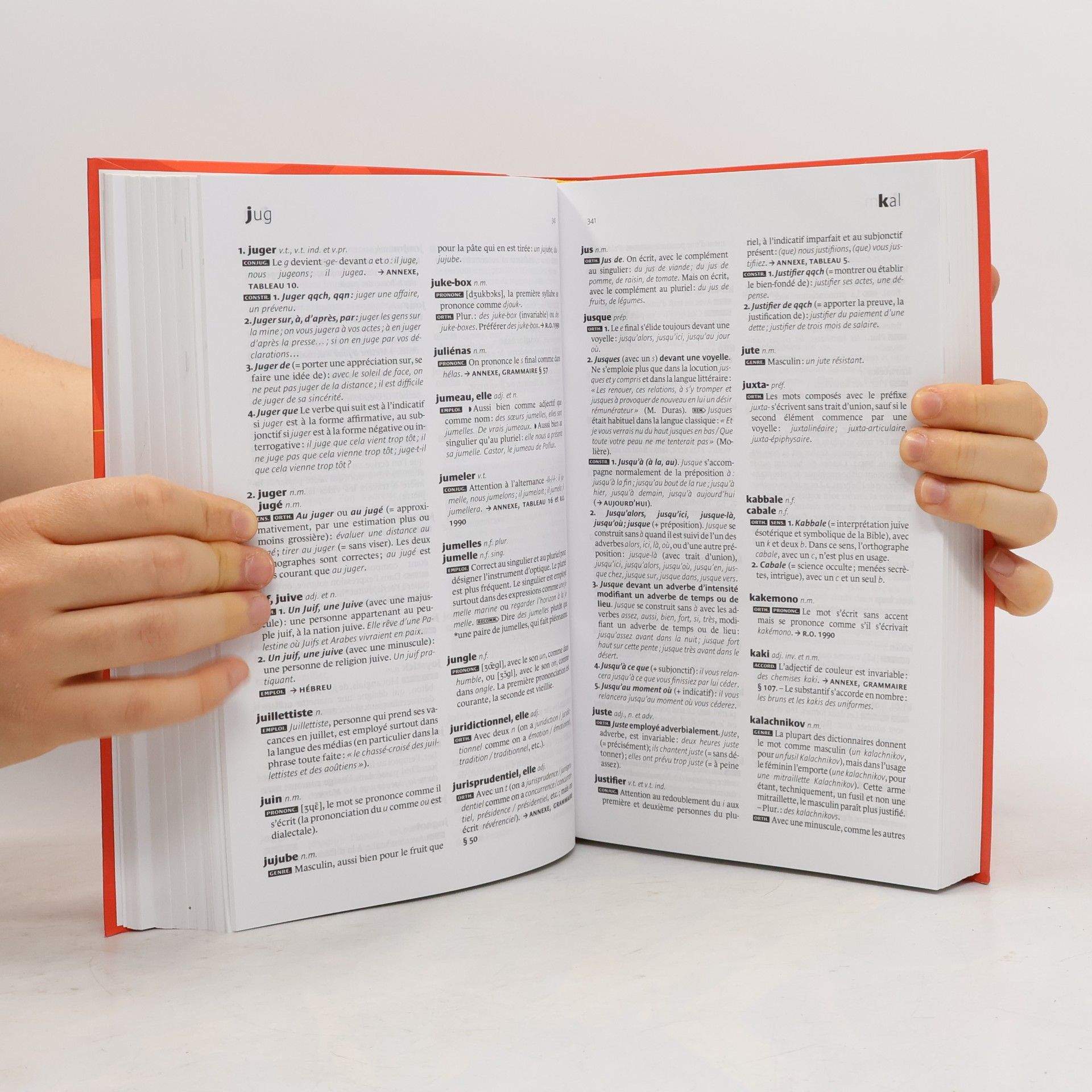 Daniel Péchoin Larousse Grand Dictionnaire: Dictionnaire des difficultés de la langue française