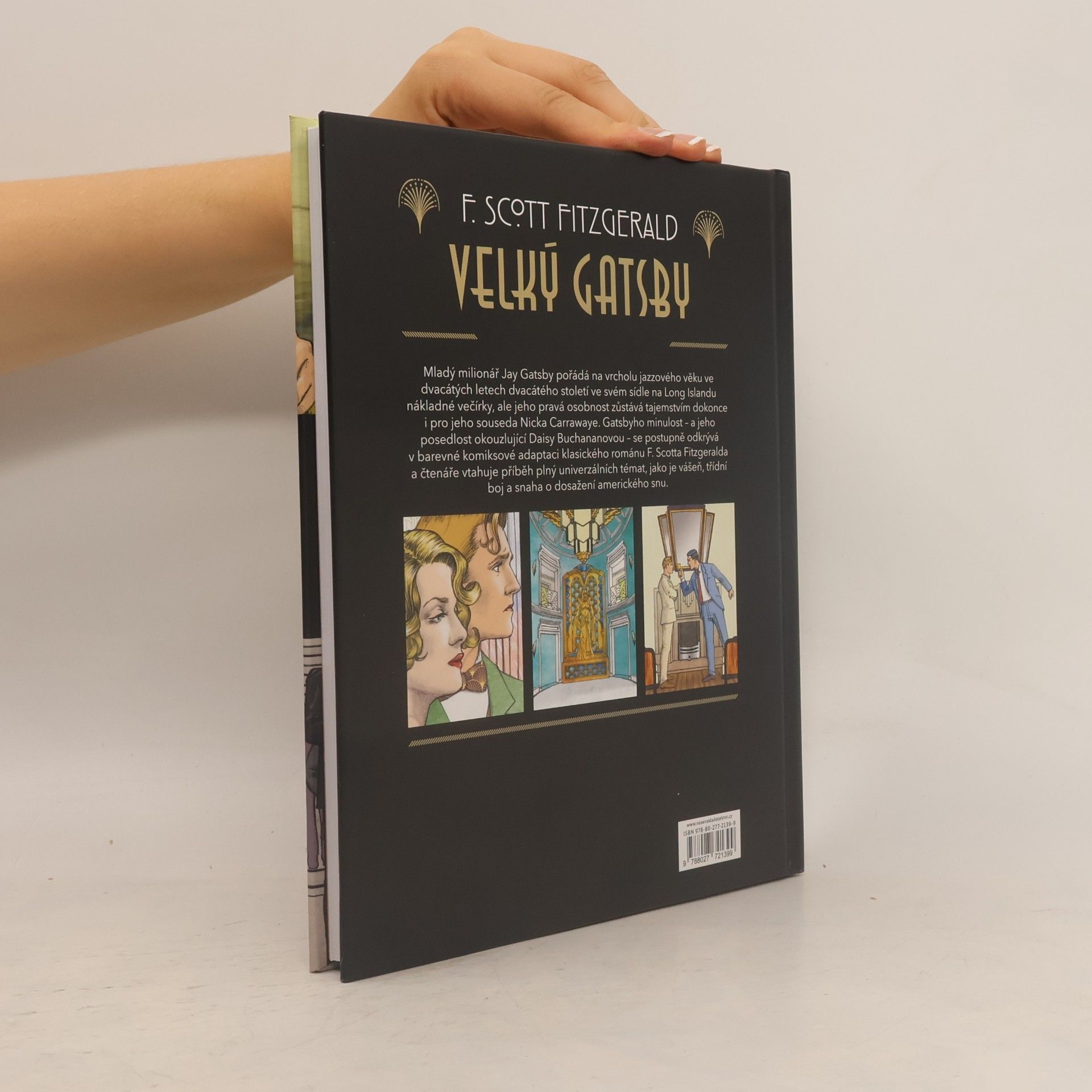 Francis Scott Fitzgerald Velký Gatsby : grafický román