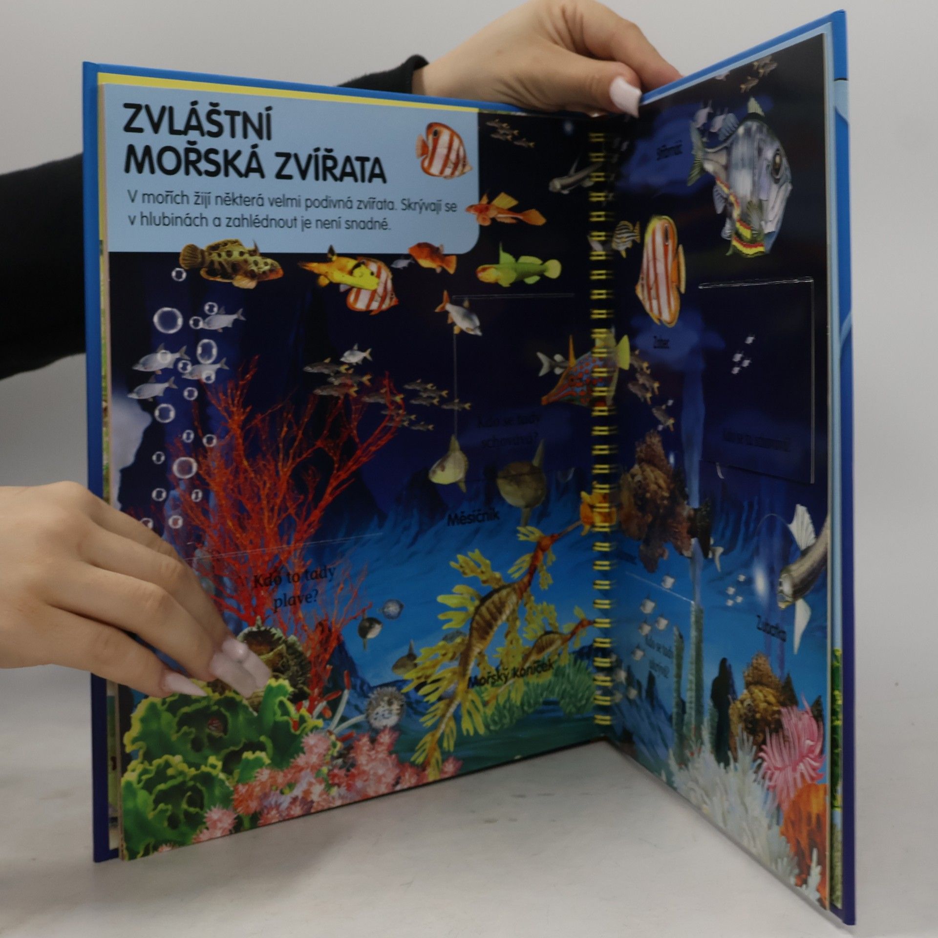Karolína Schwarzová Poznej zvířata u vody a pod vodou